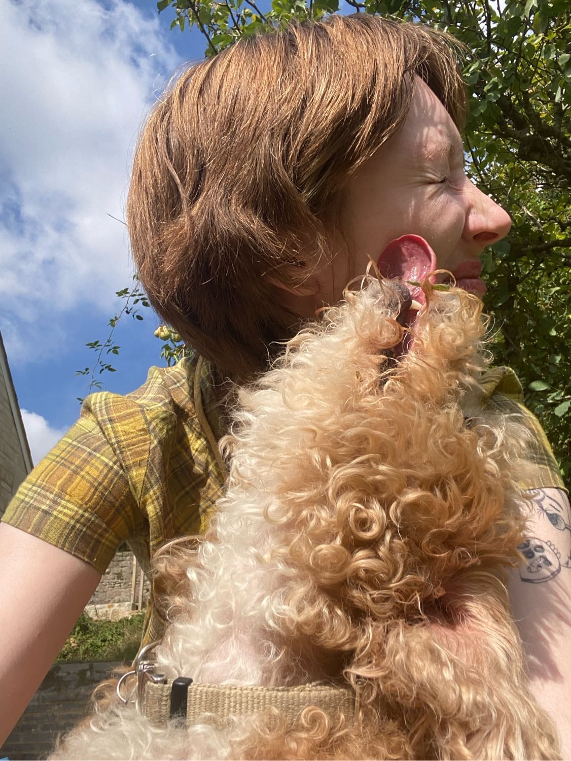 image-8