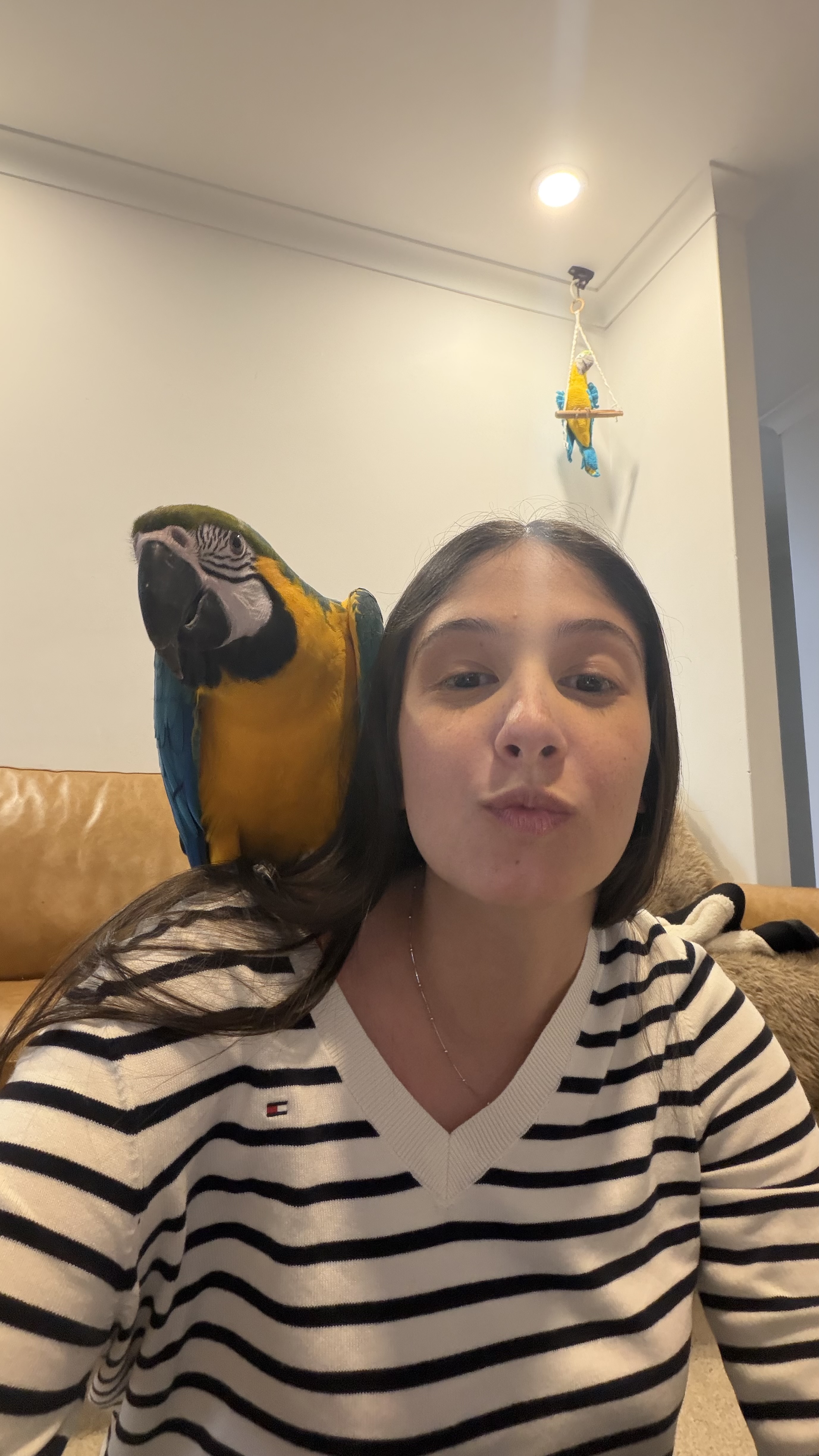 image-12