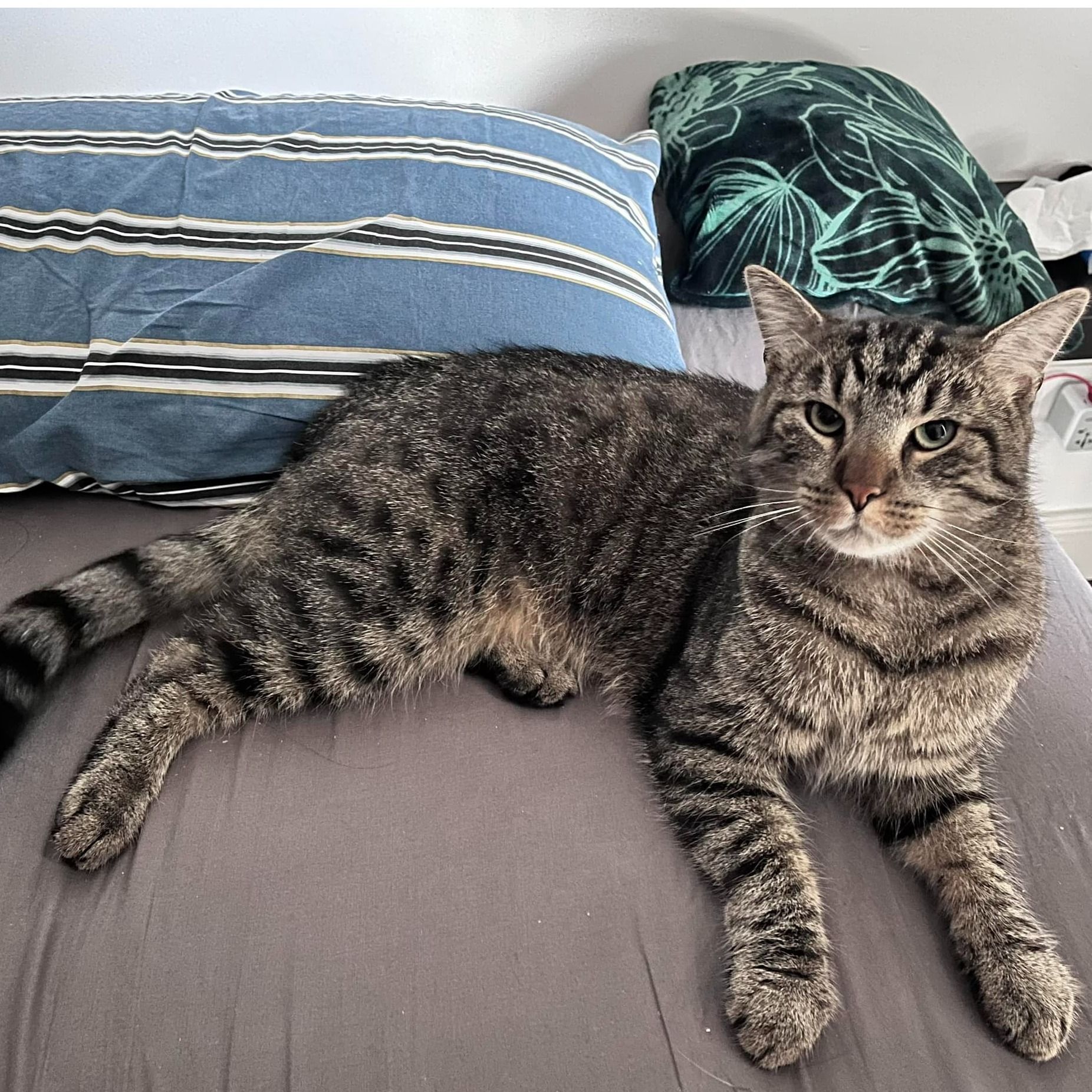Coco