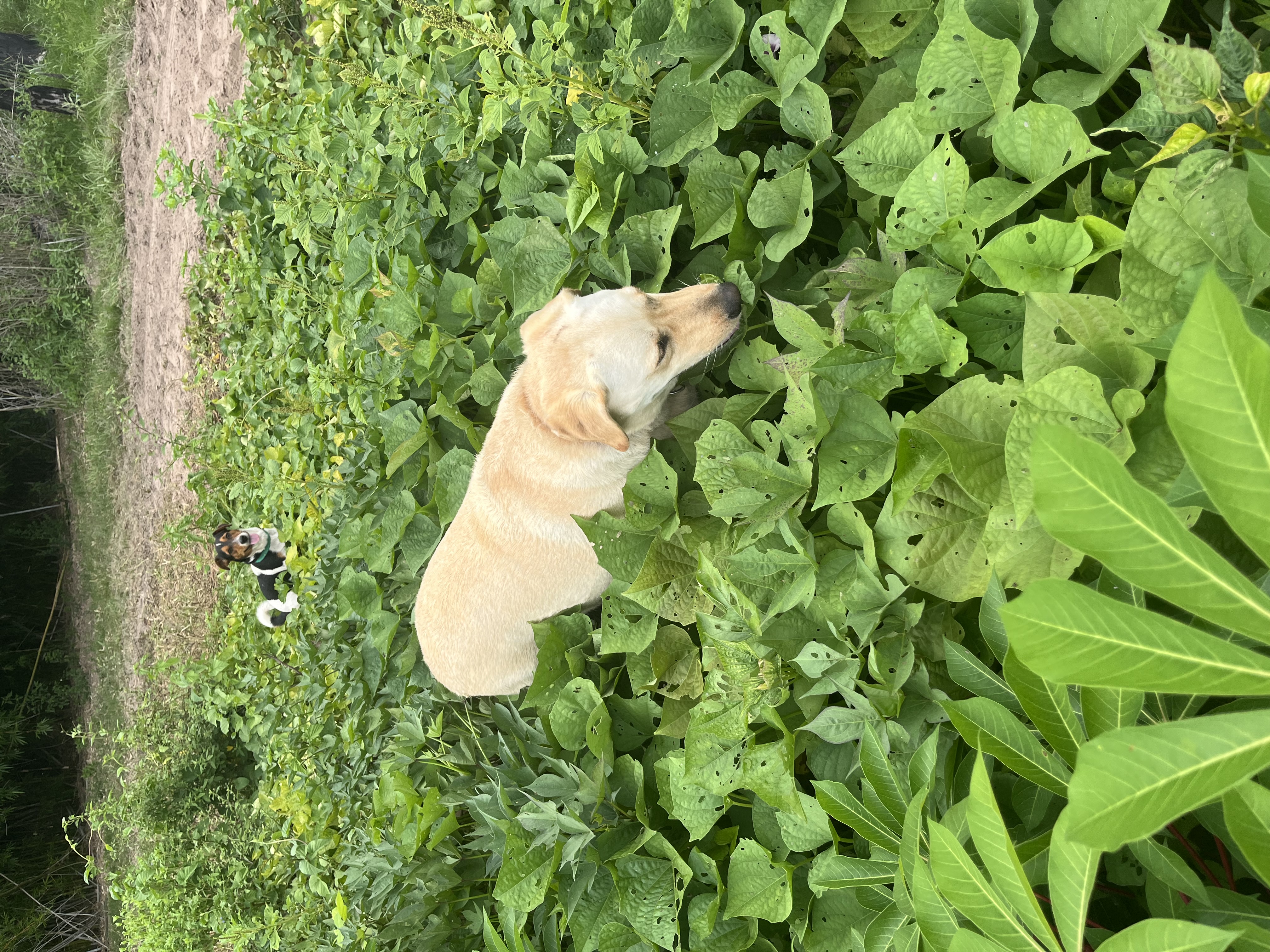 image-6