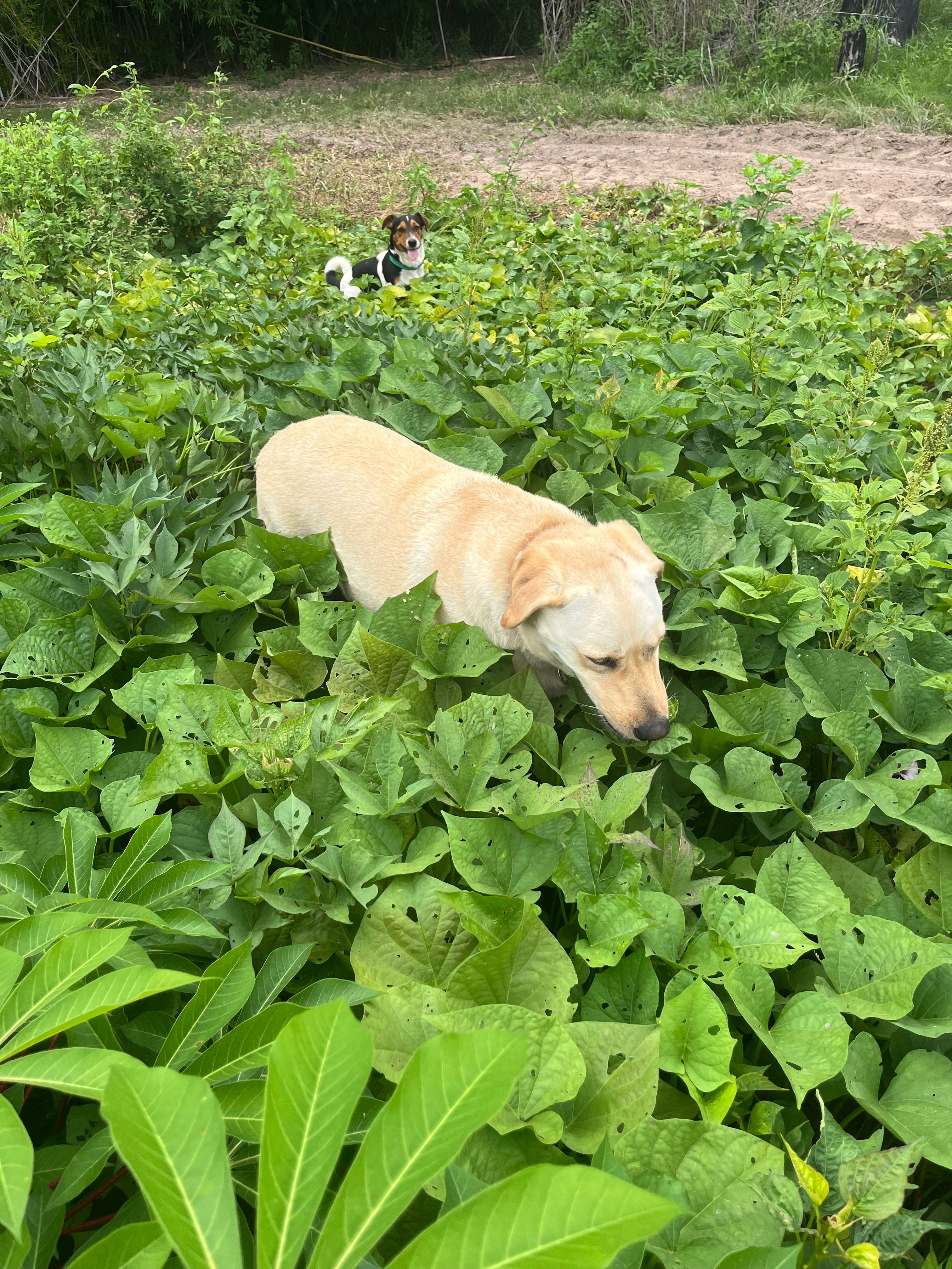 image-6