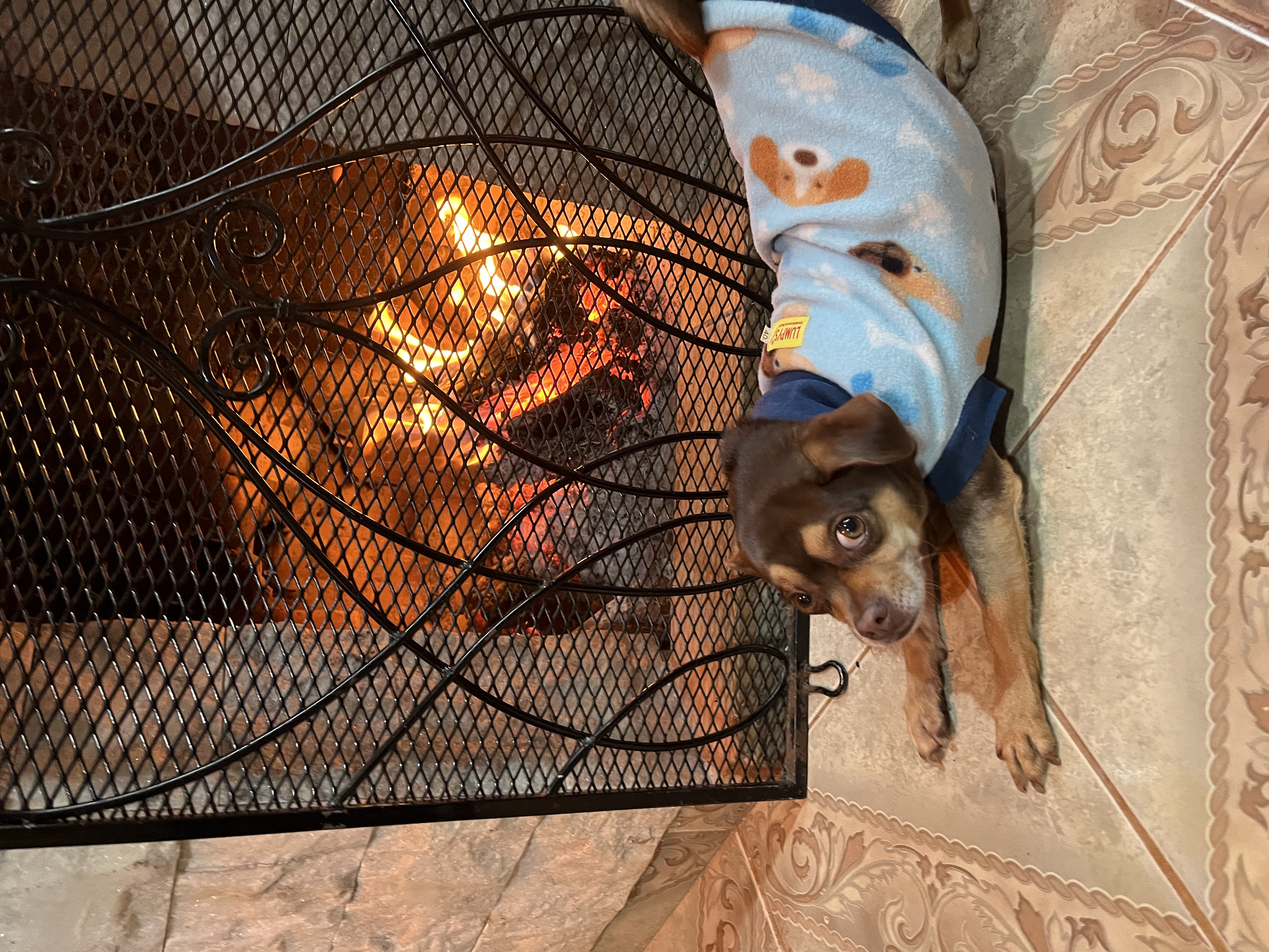 image-27