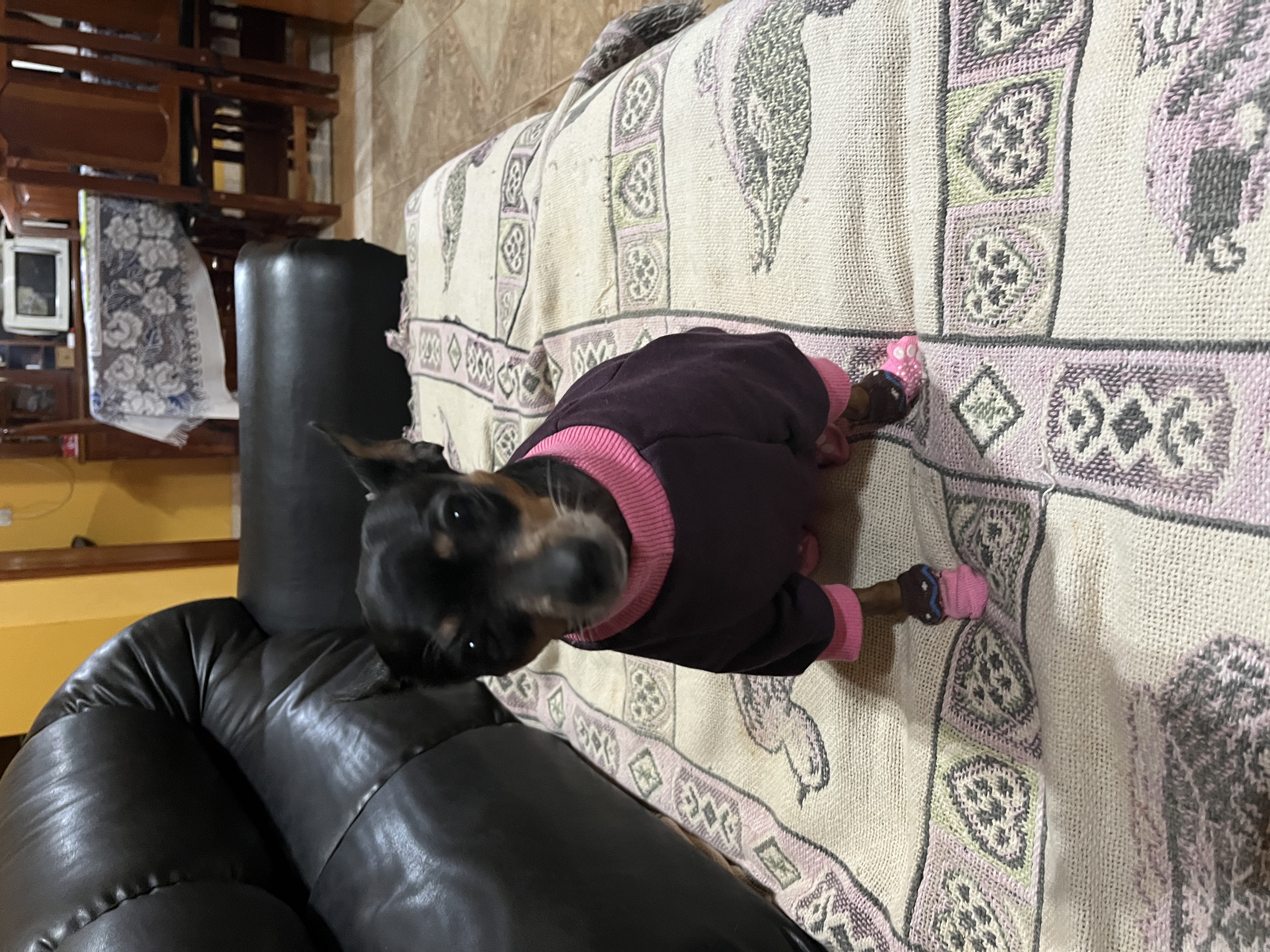 image-32