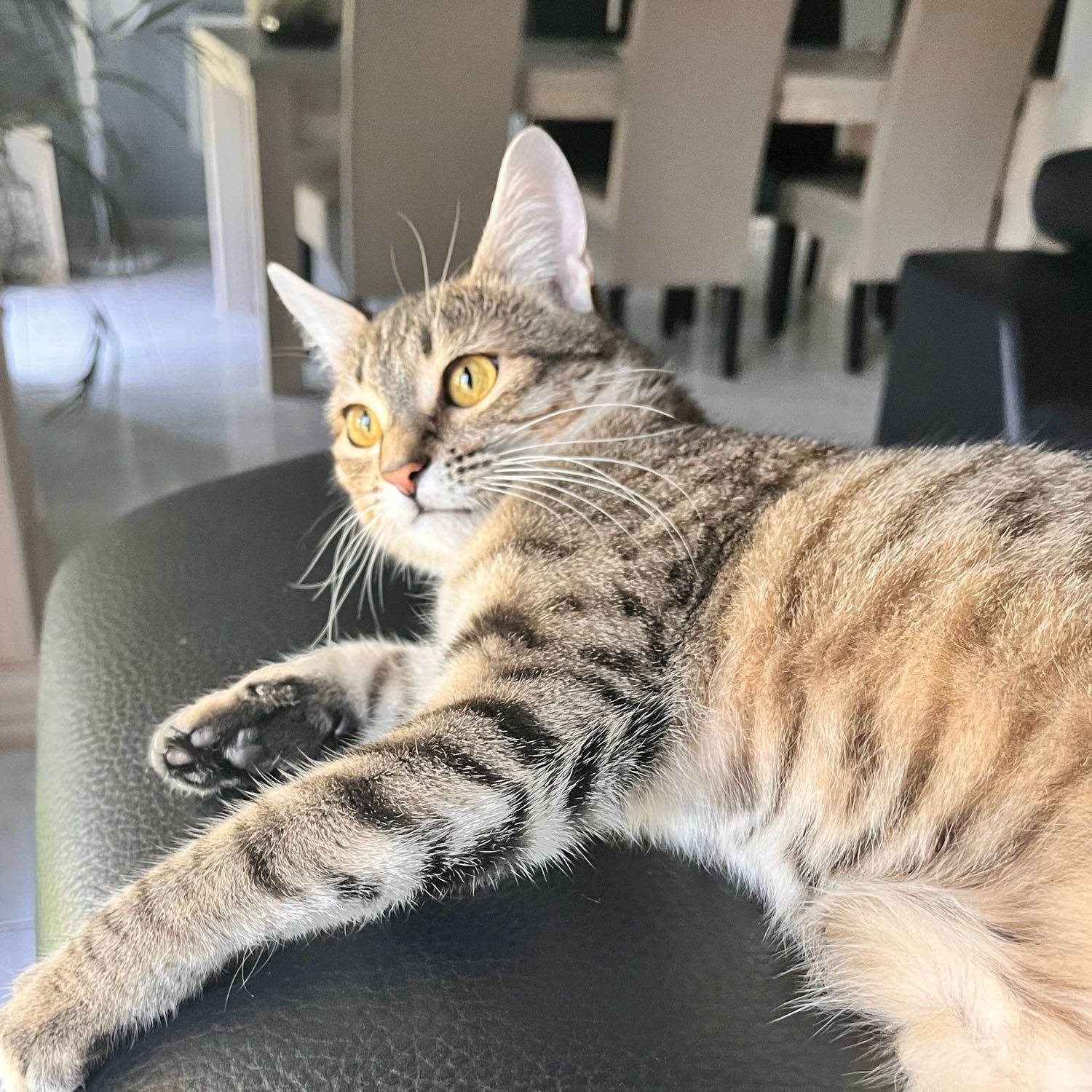 Uzzy❤️