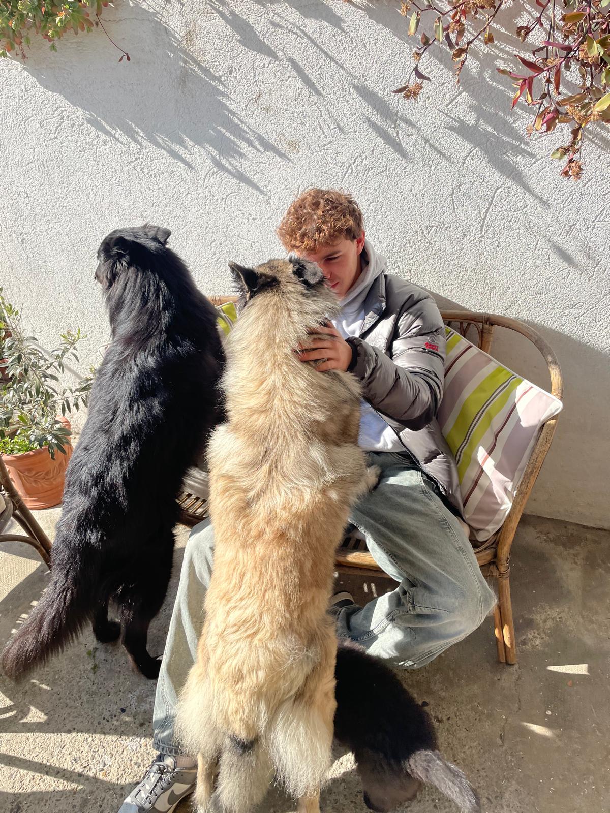 image-2