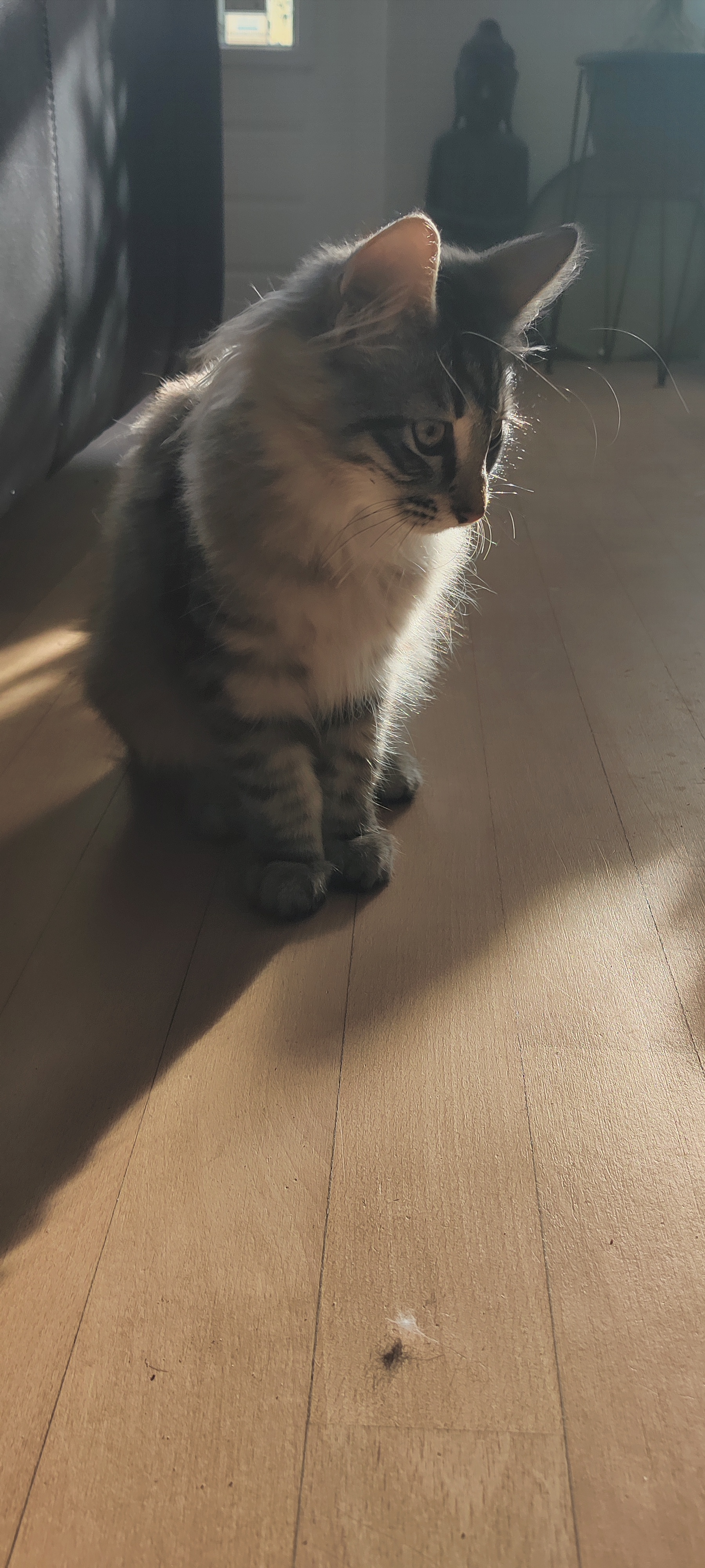 image-14