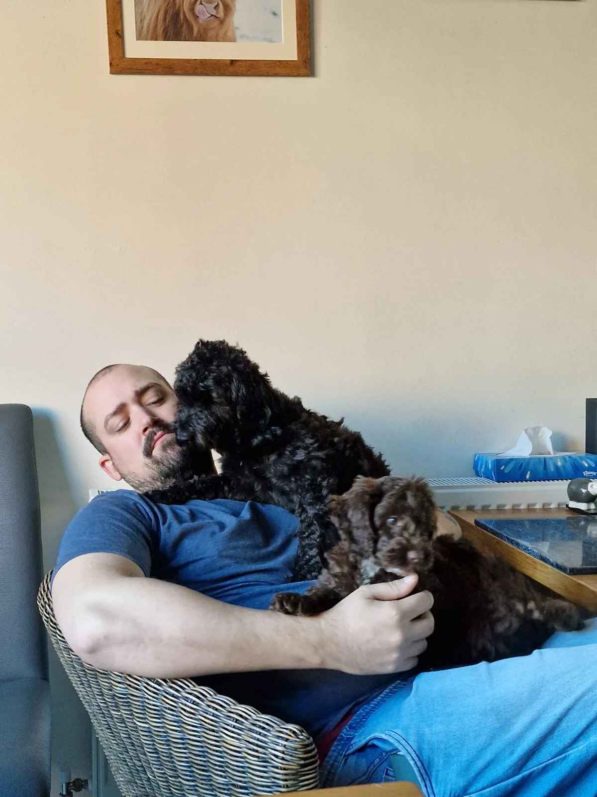 image-8