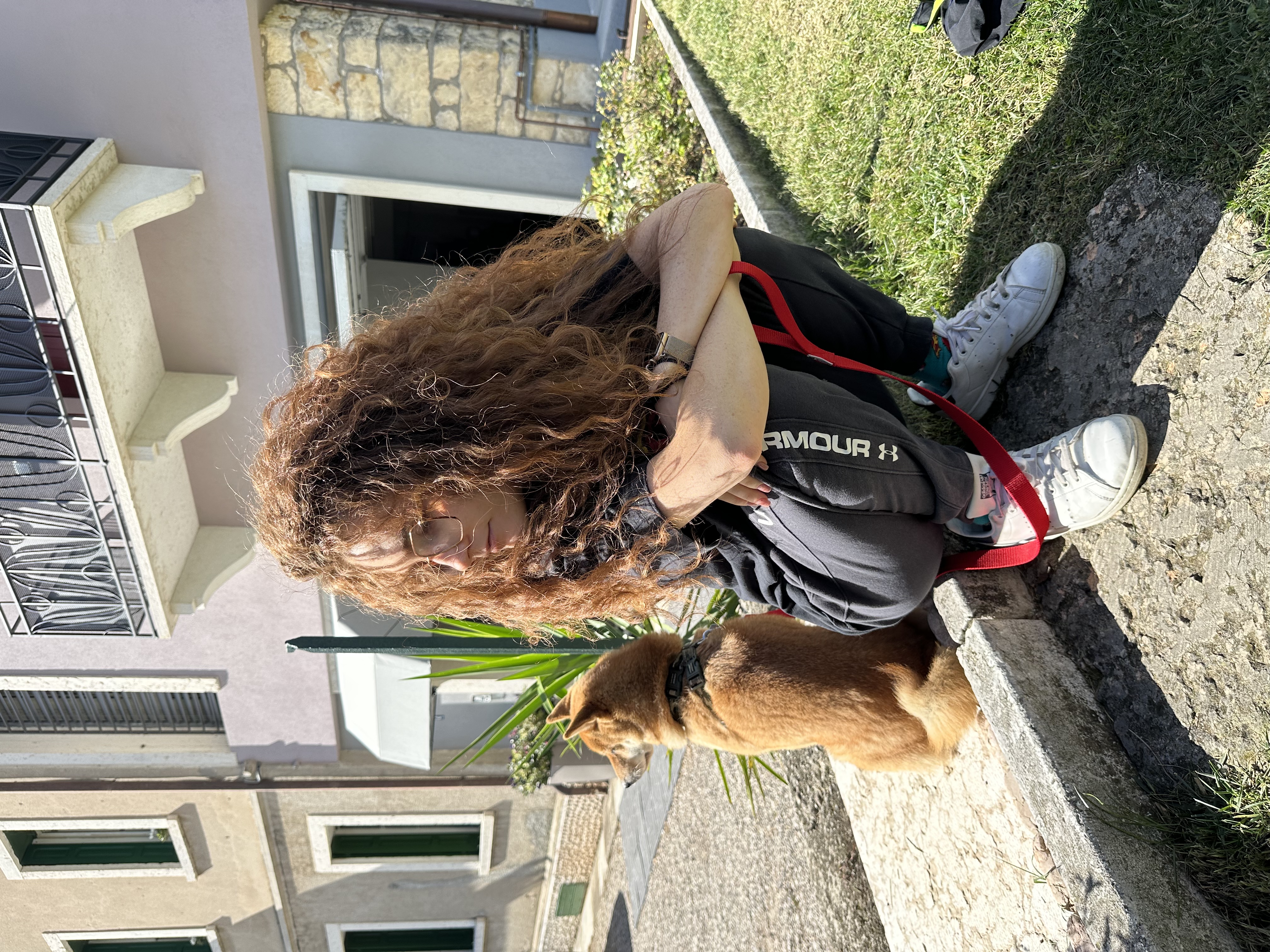 image-12
