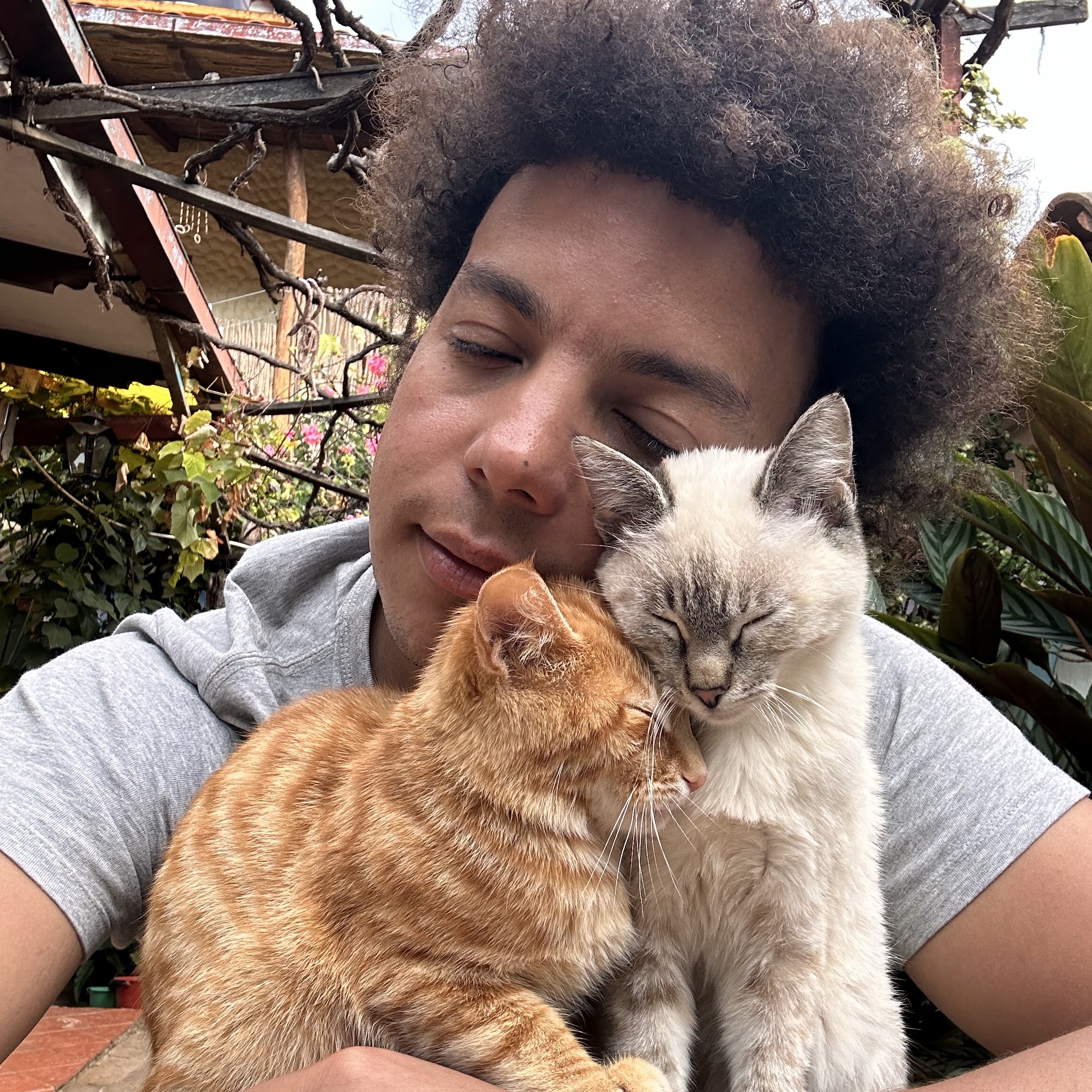 Billy et Minou