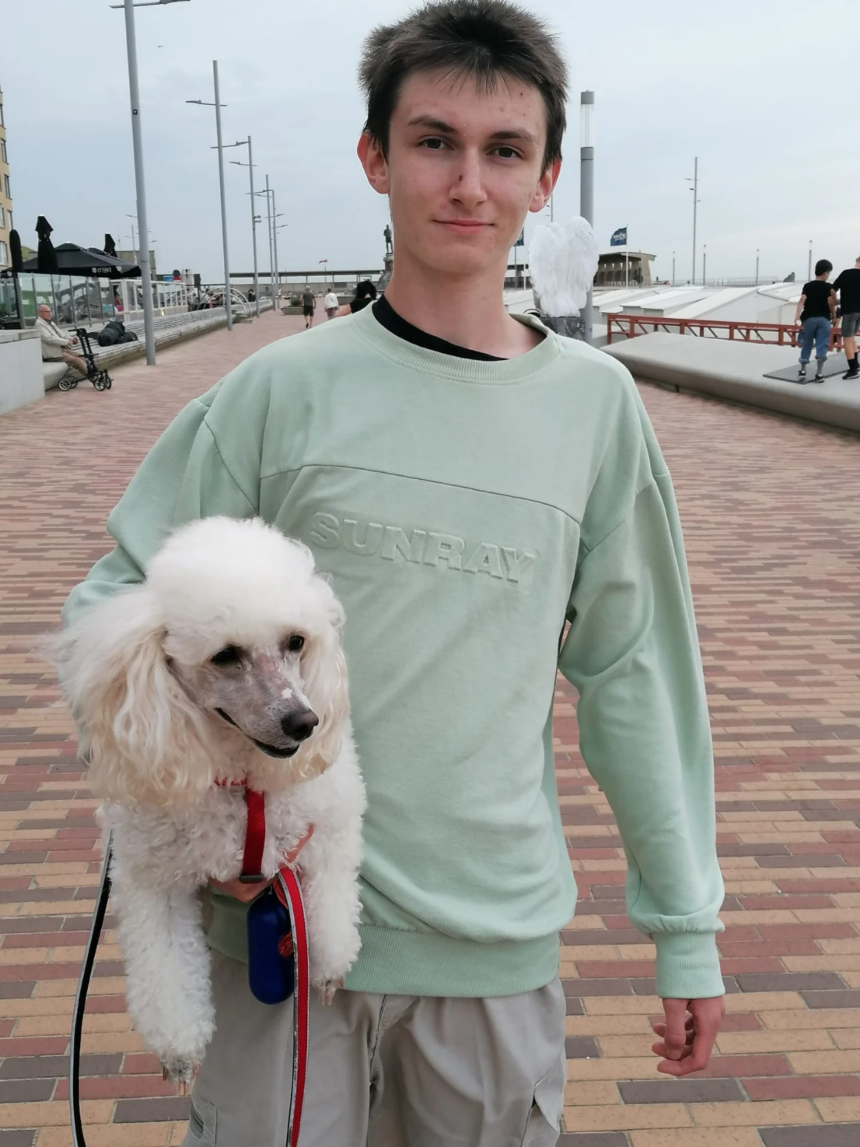 image-7