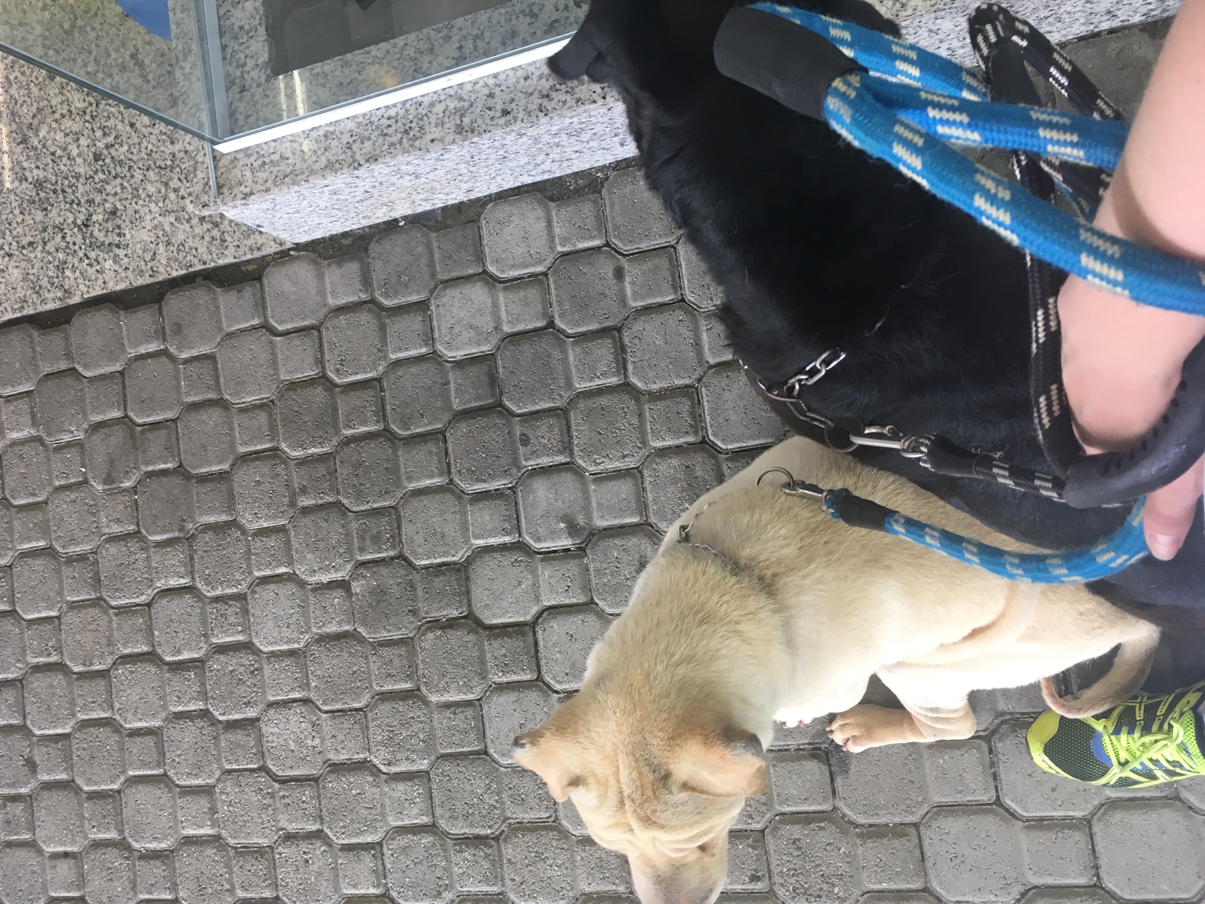 image-16