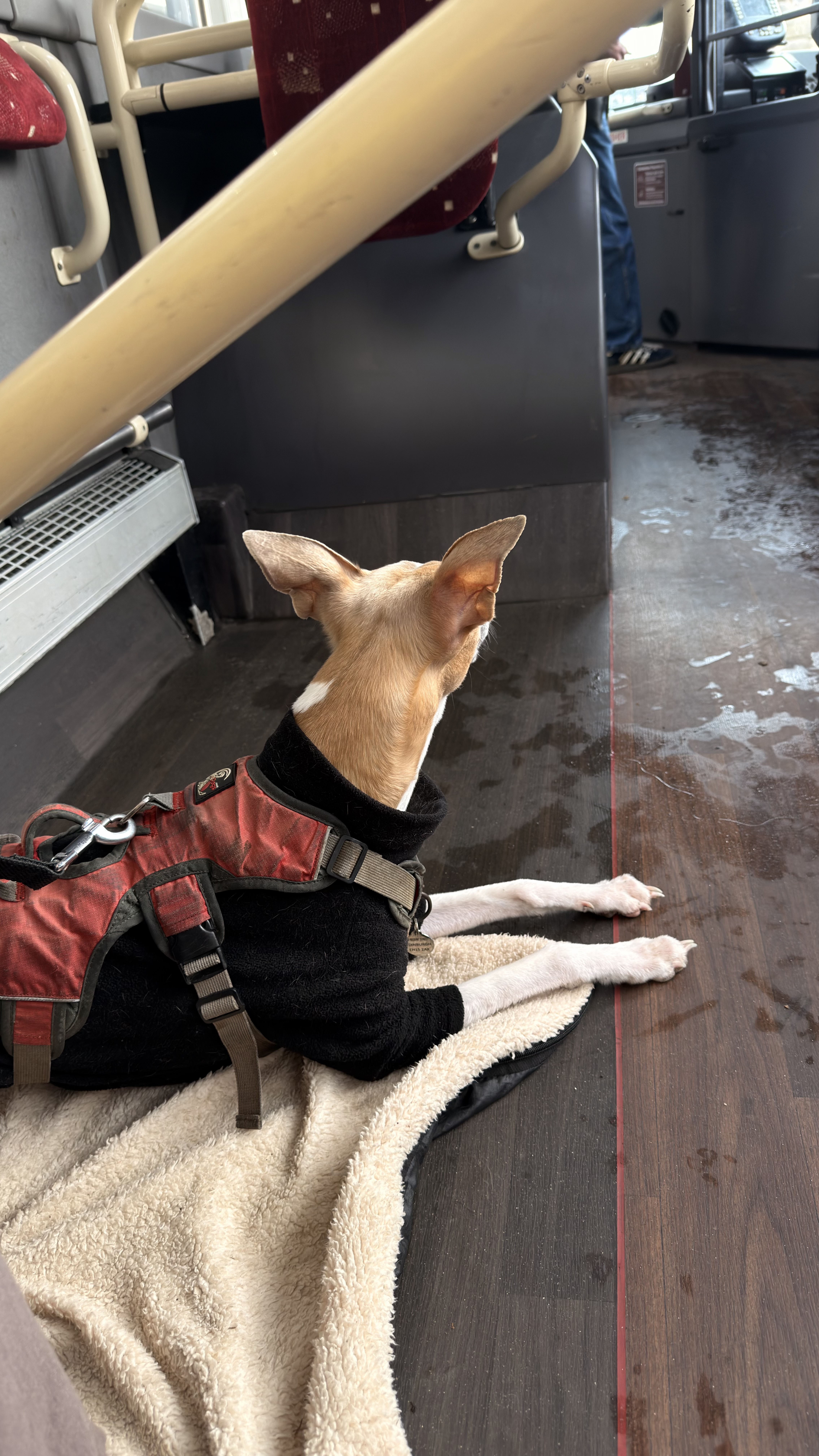 image-6