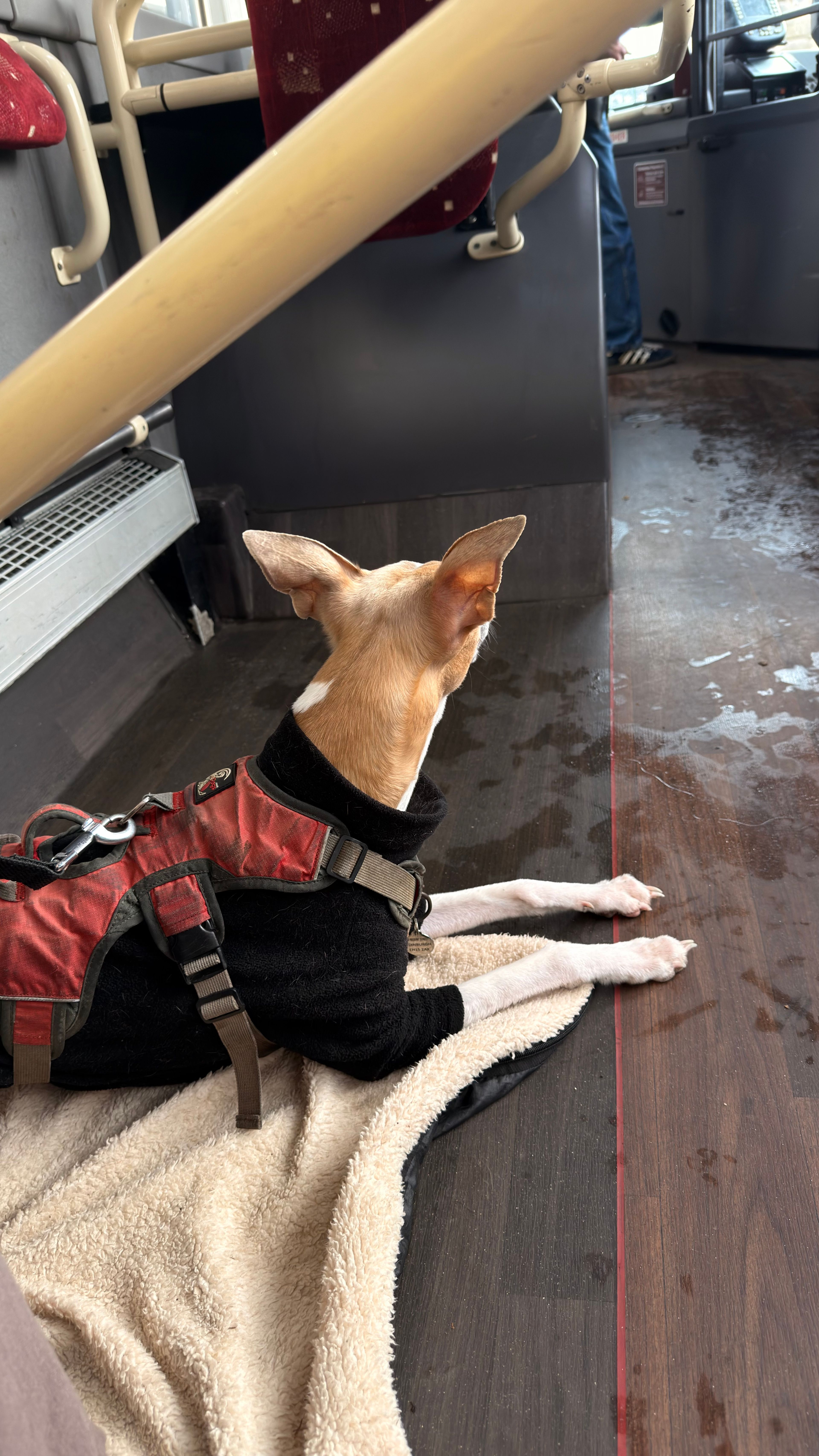 image-6