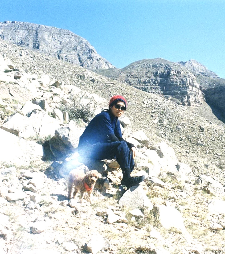 image-1