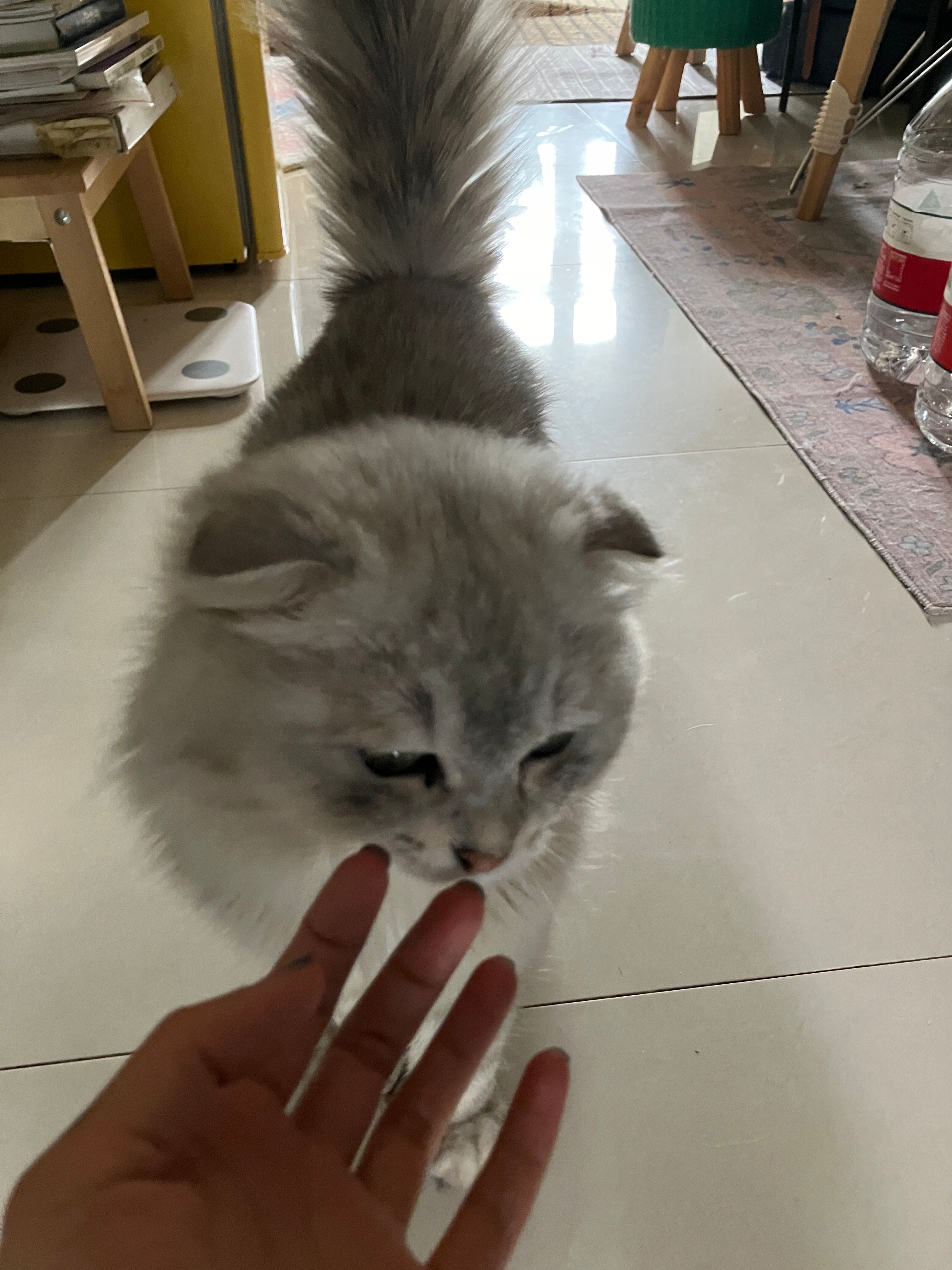 image-15