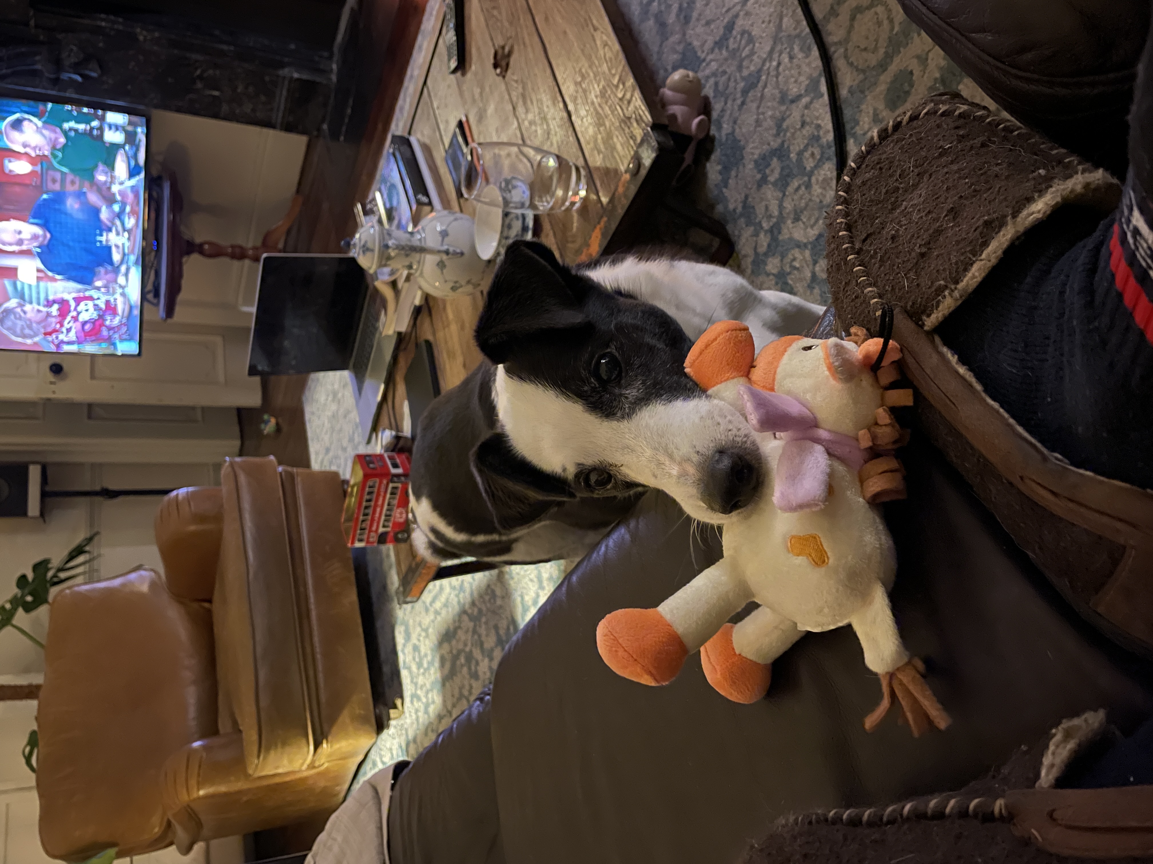 image-8