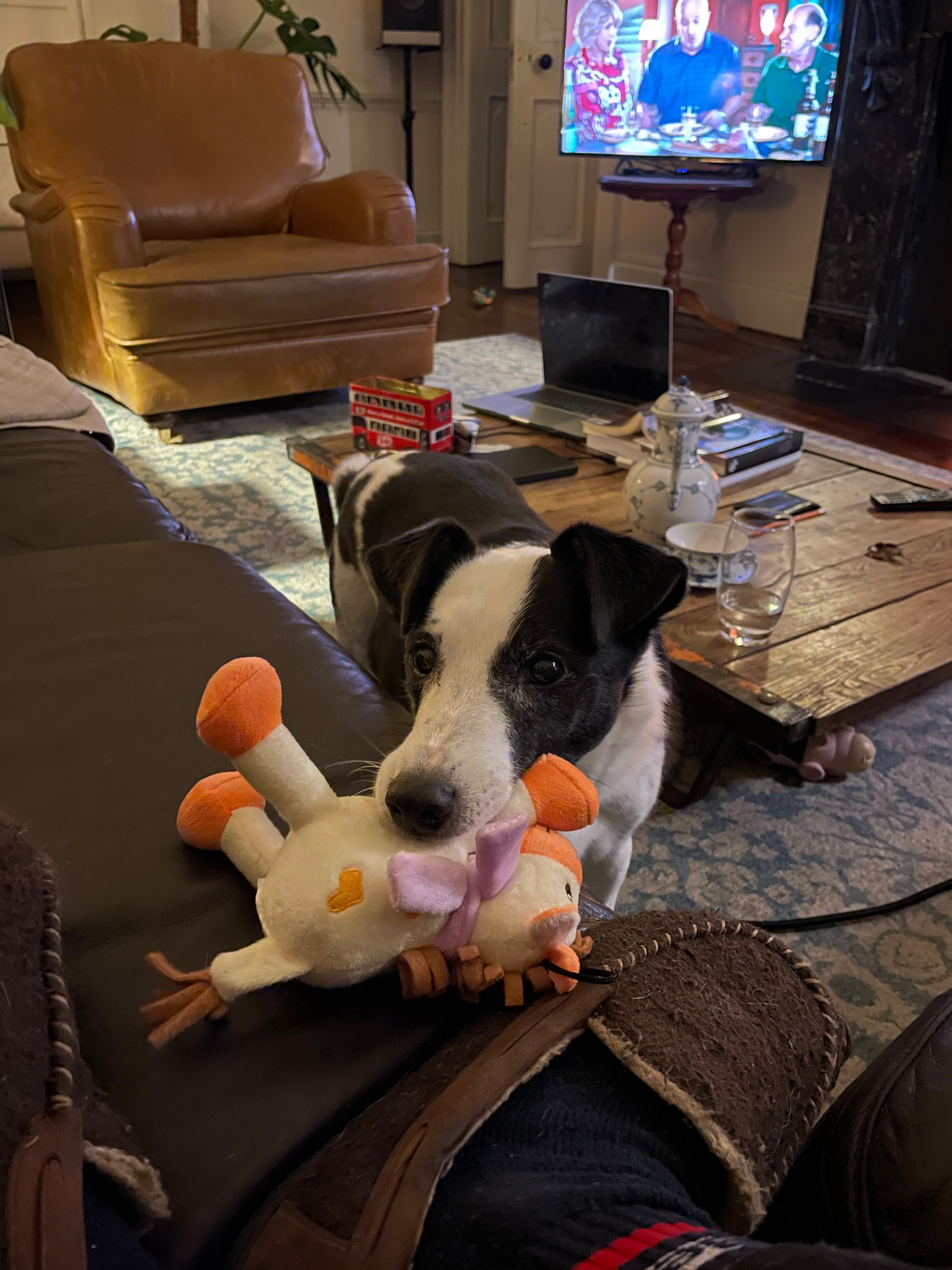 image-8