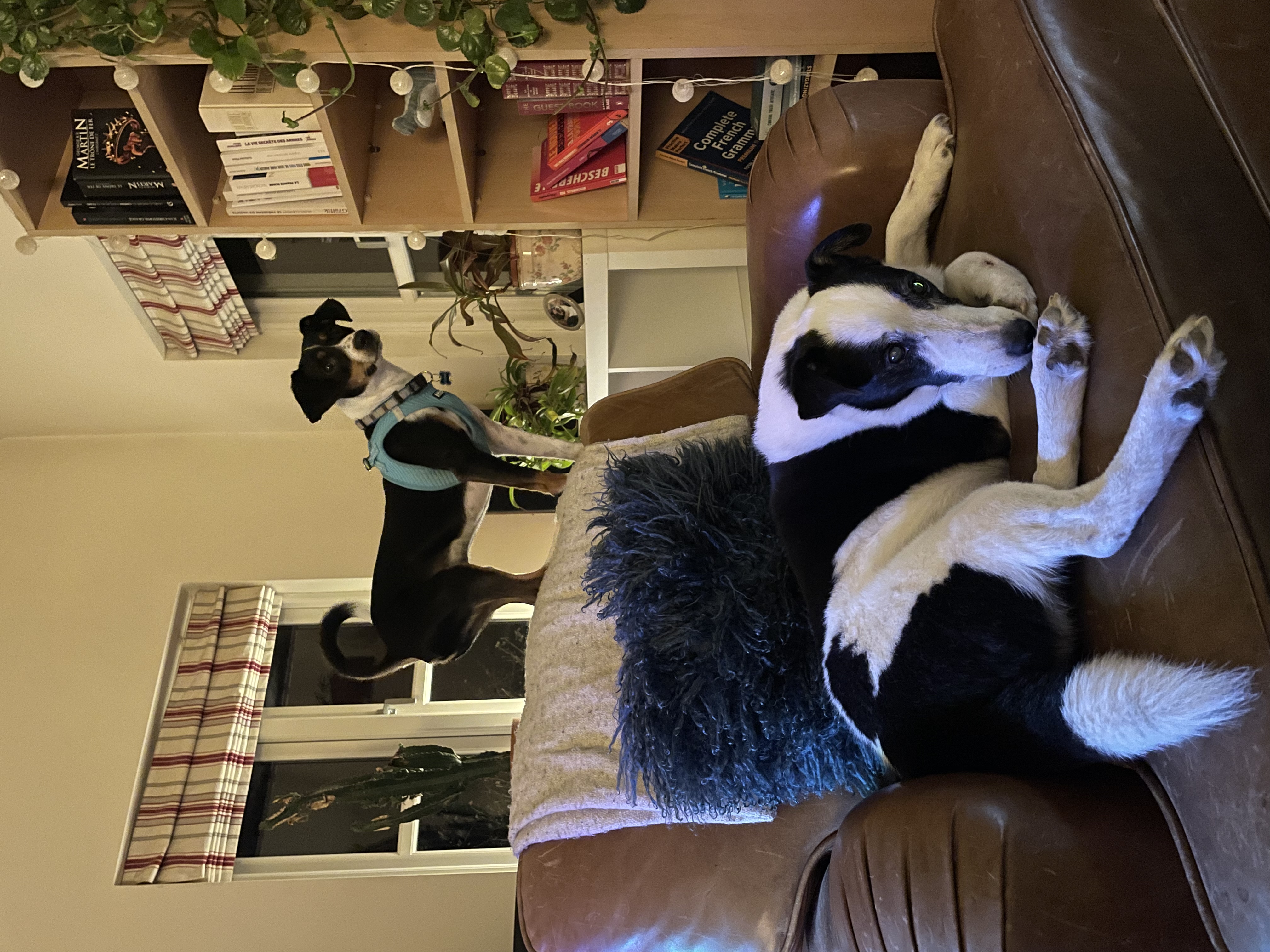 image-20