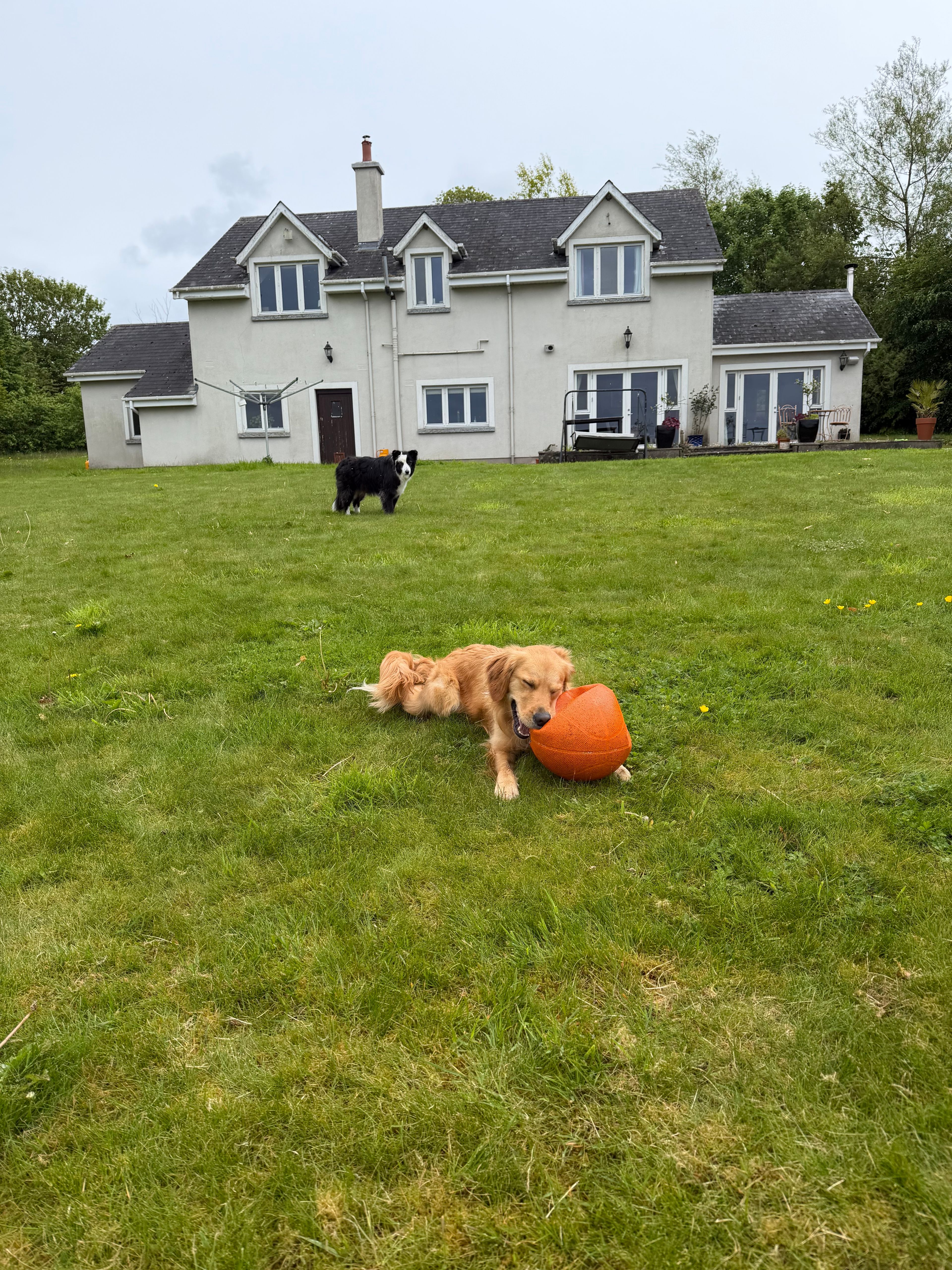 image-10