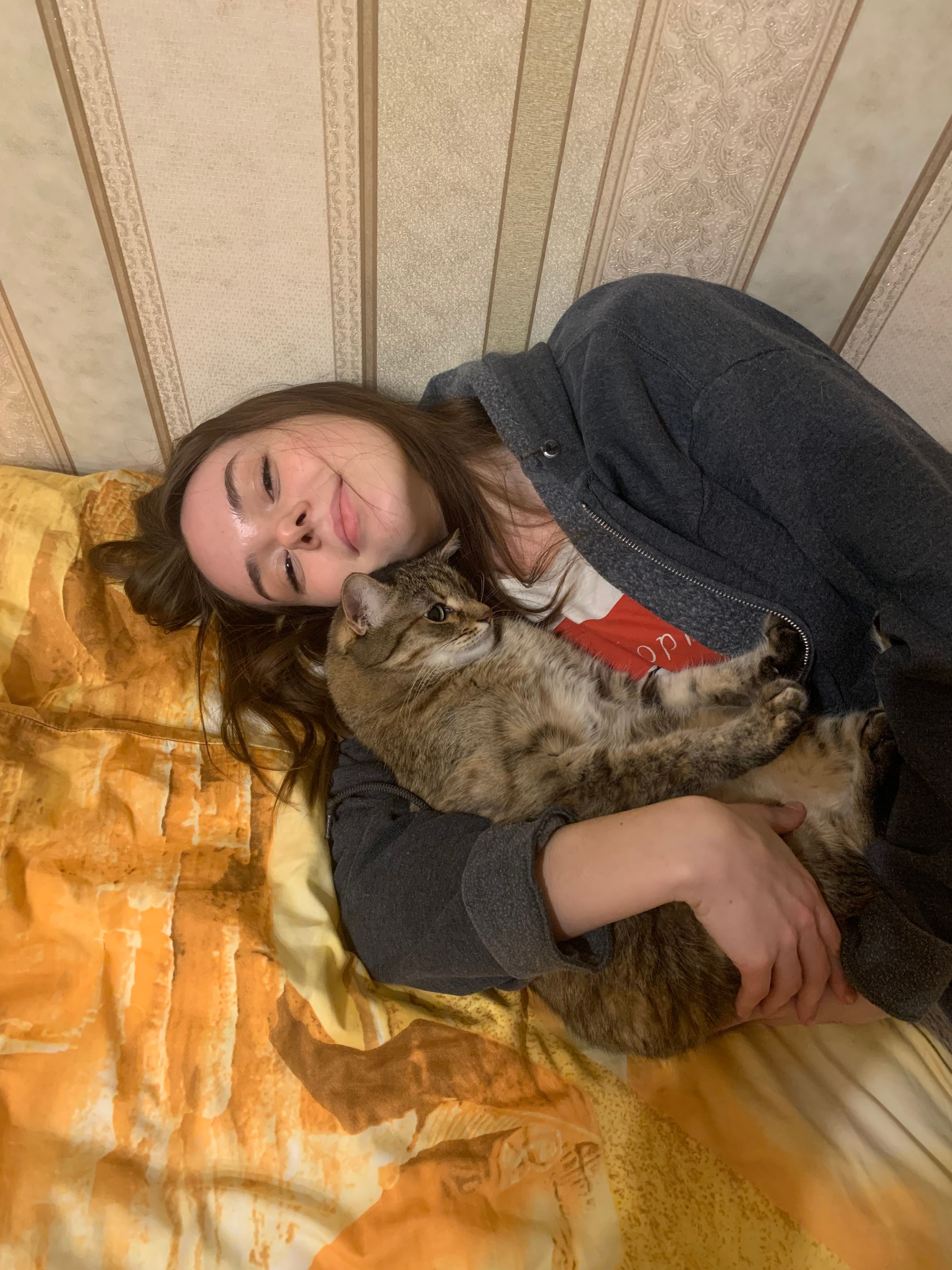 image-6