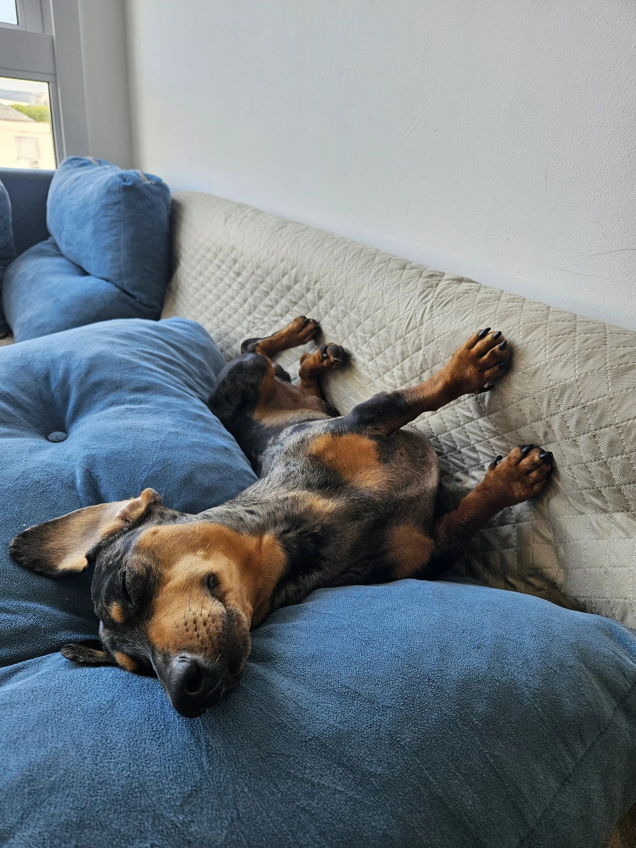 image-14