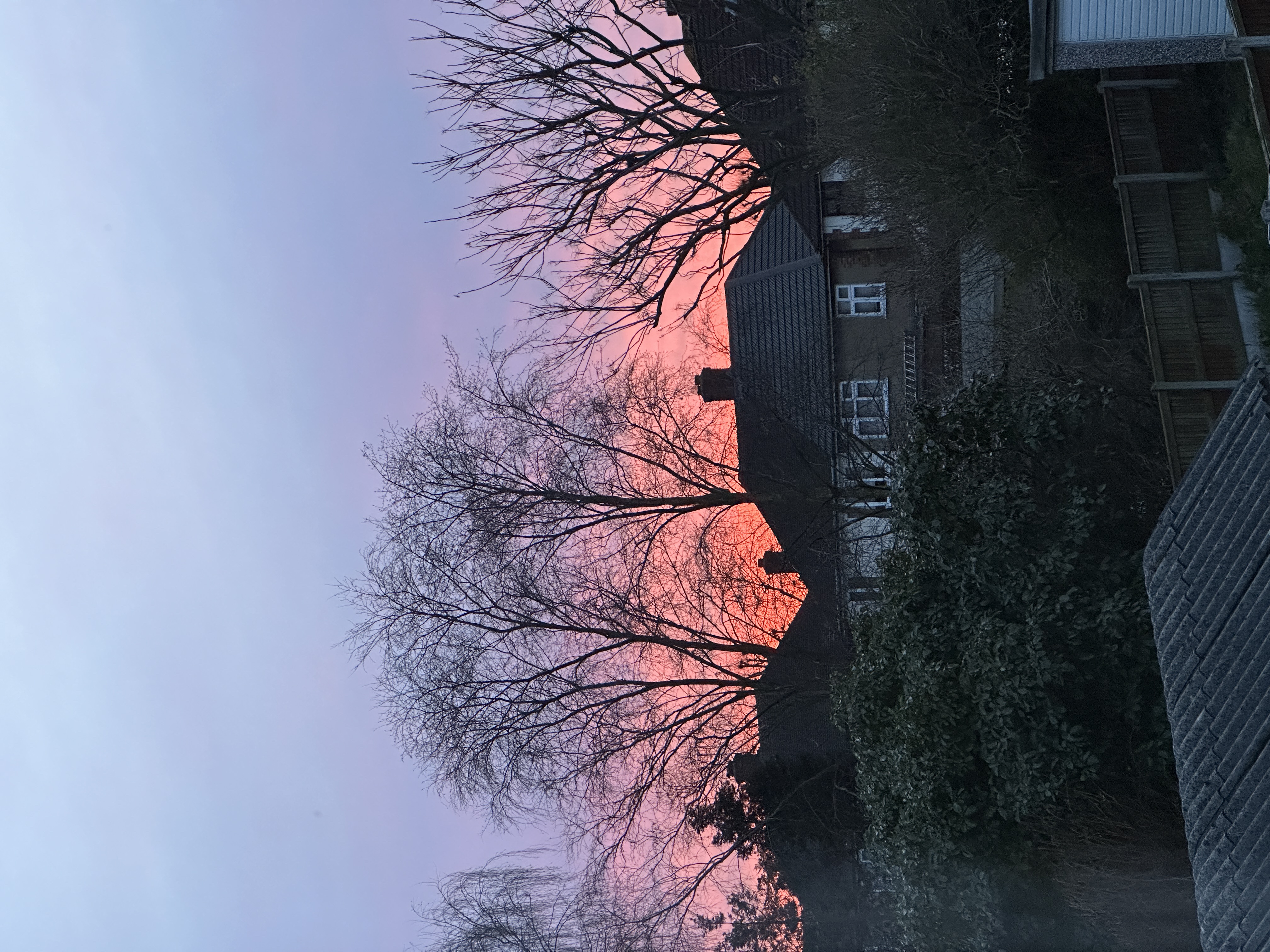 image-14