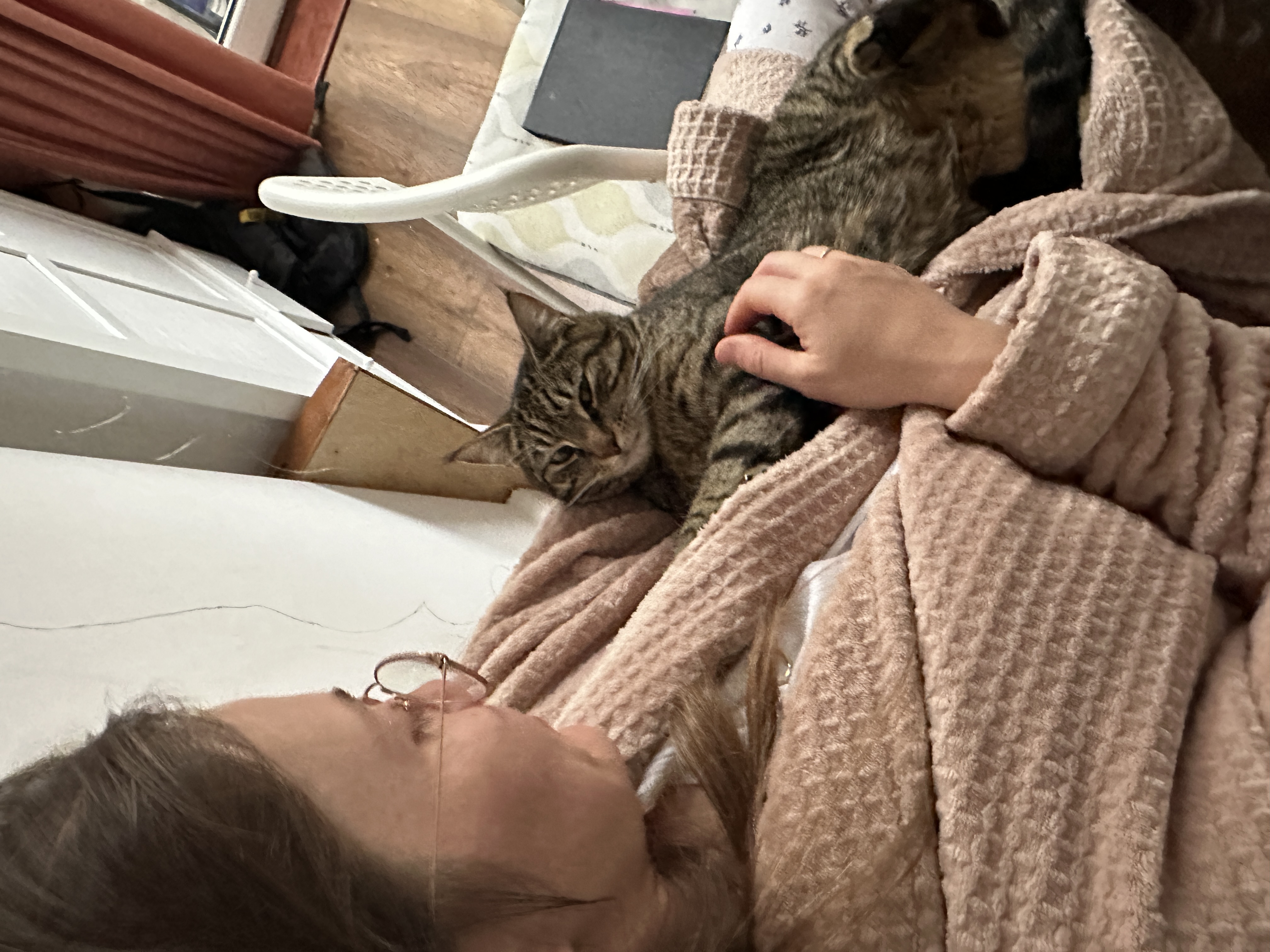 image-7