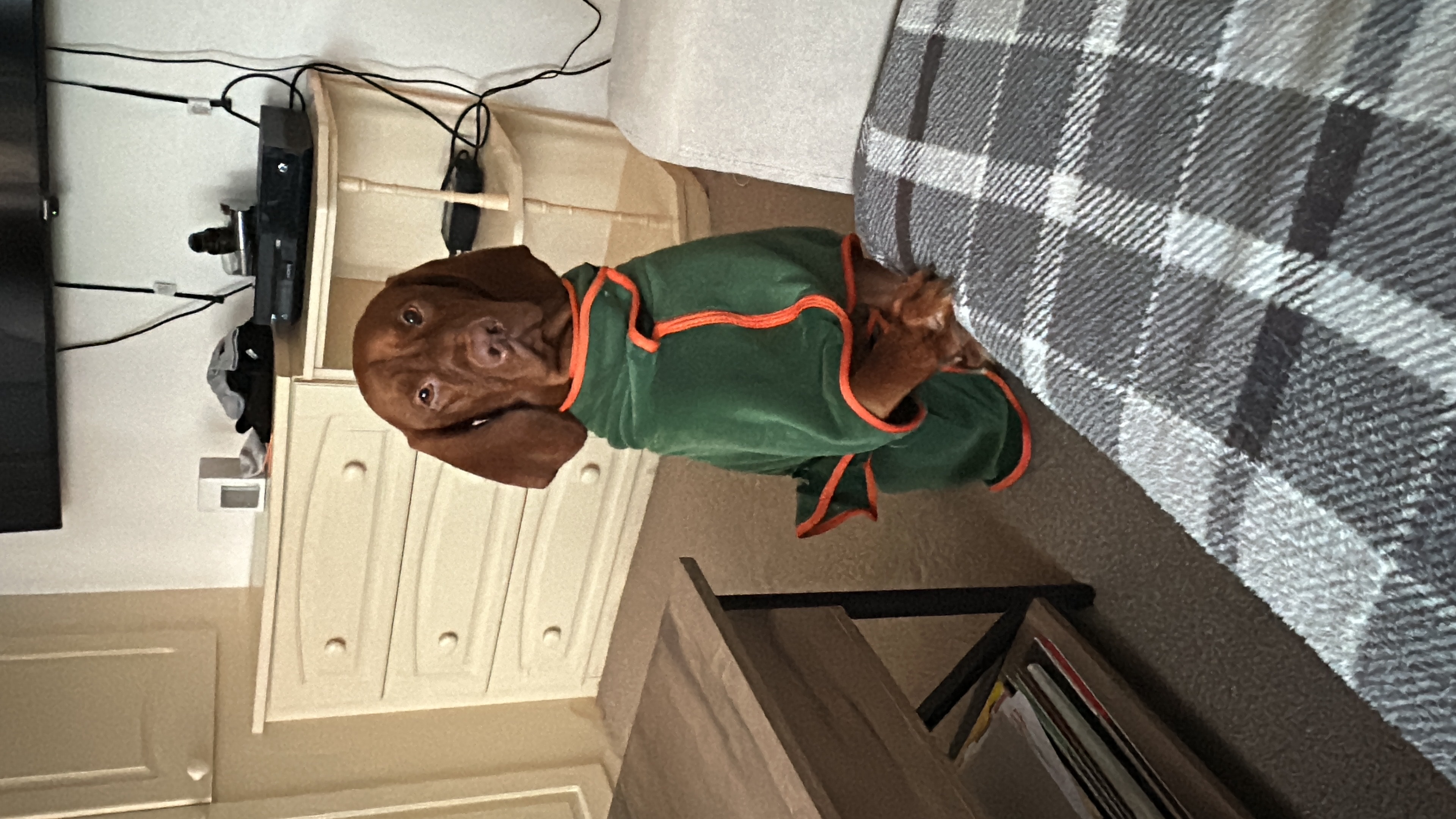 image-2