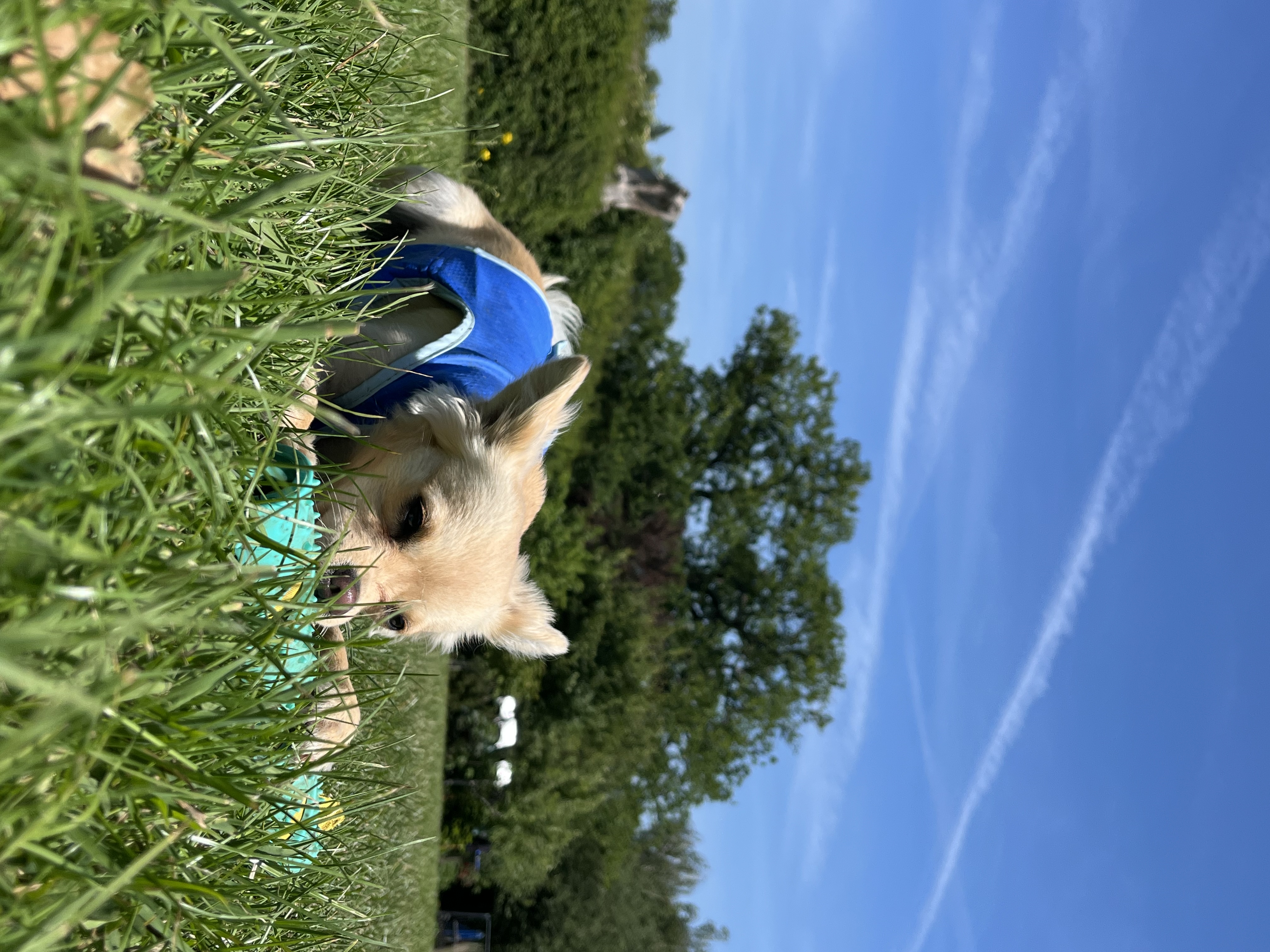 image-15