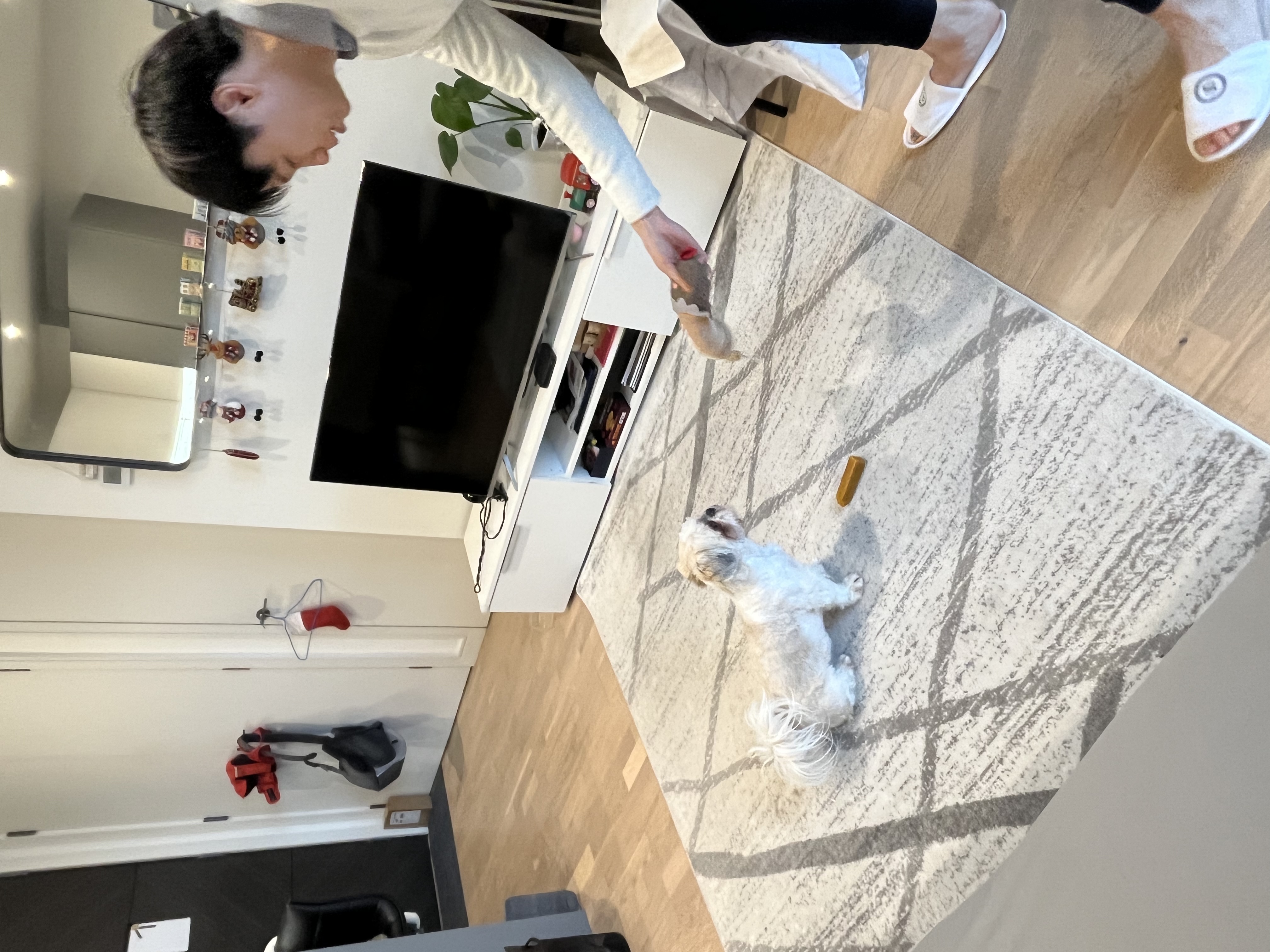 image-10