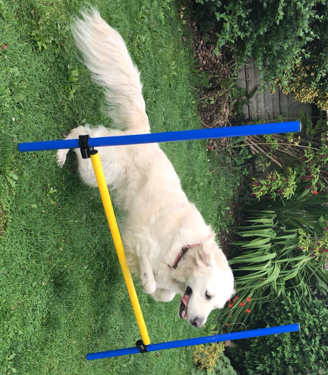 image-15