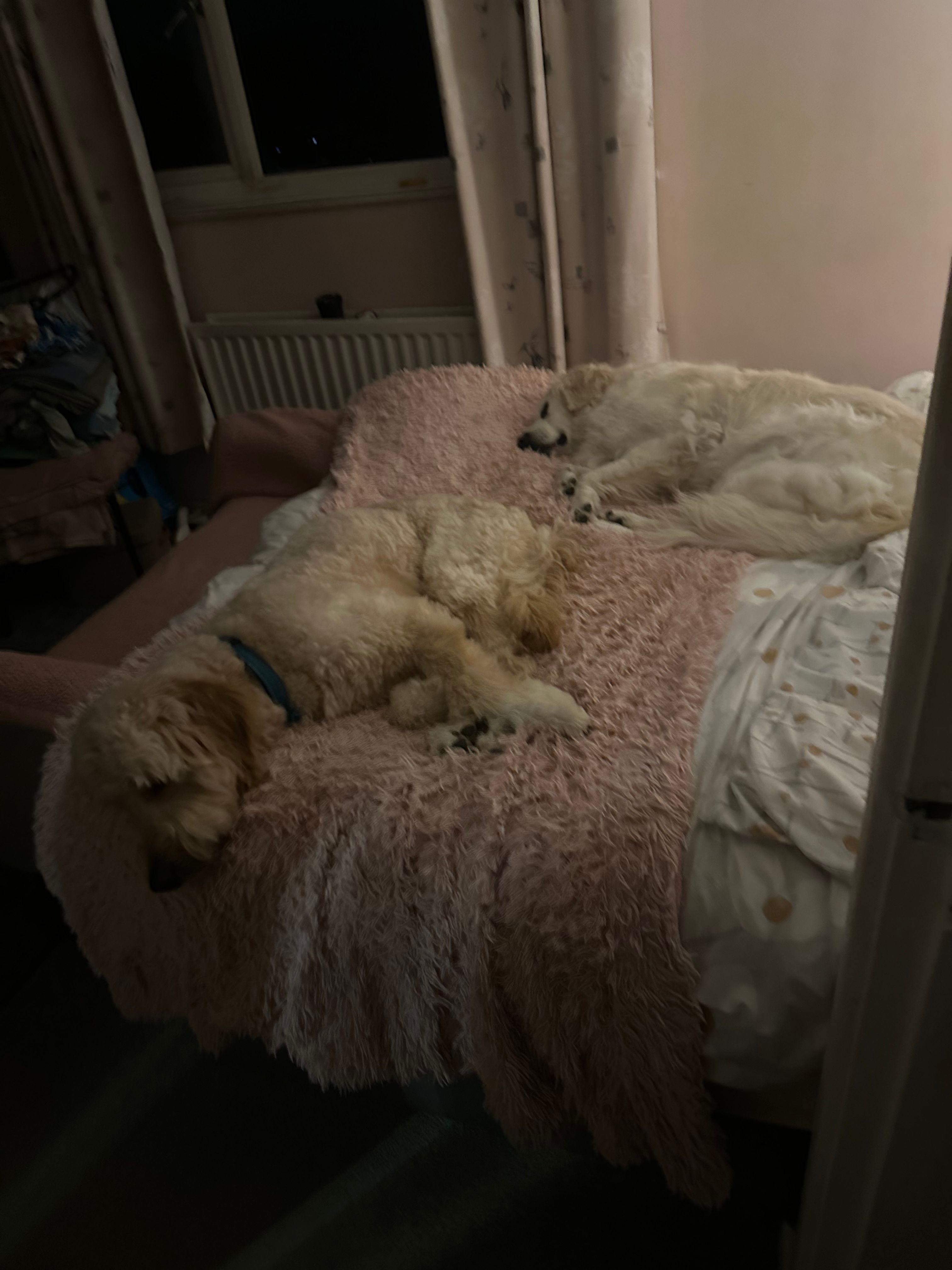 image-9