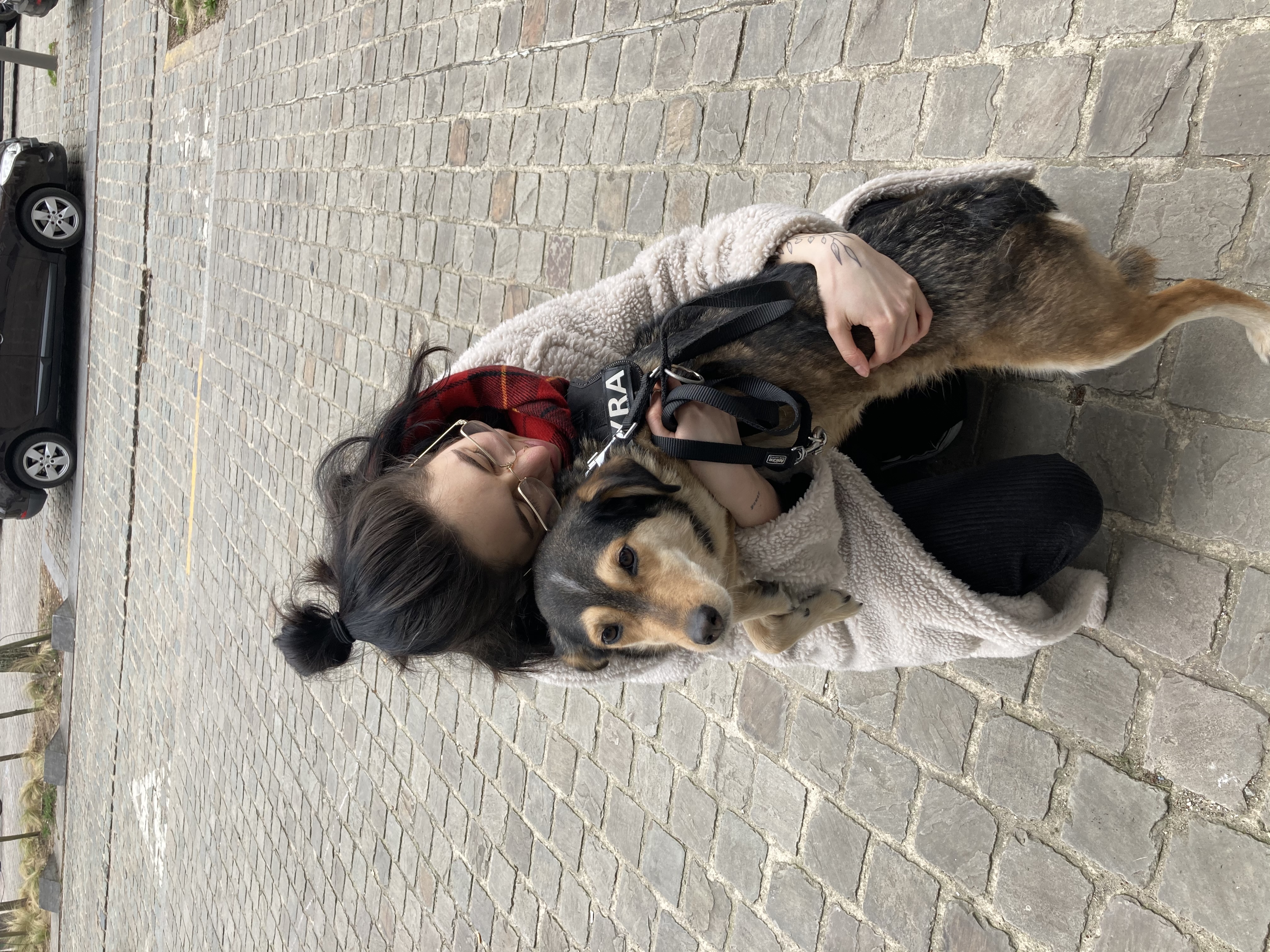 image-3