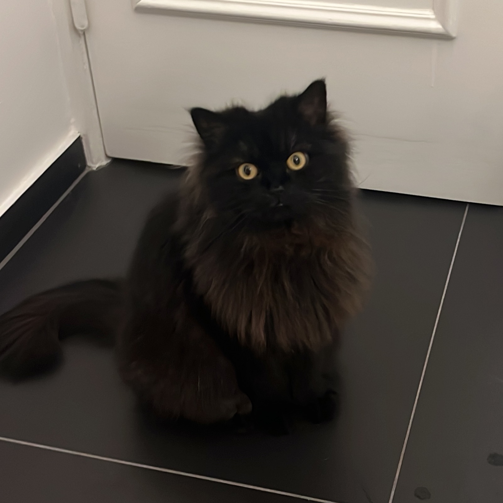 Mila