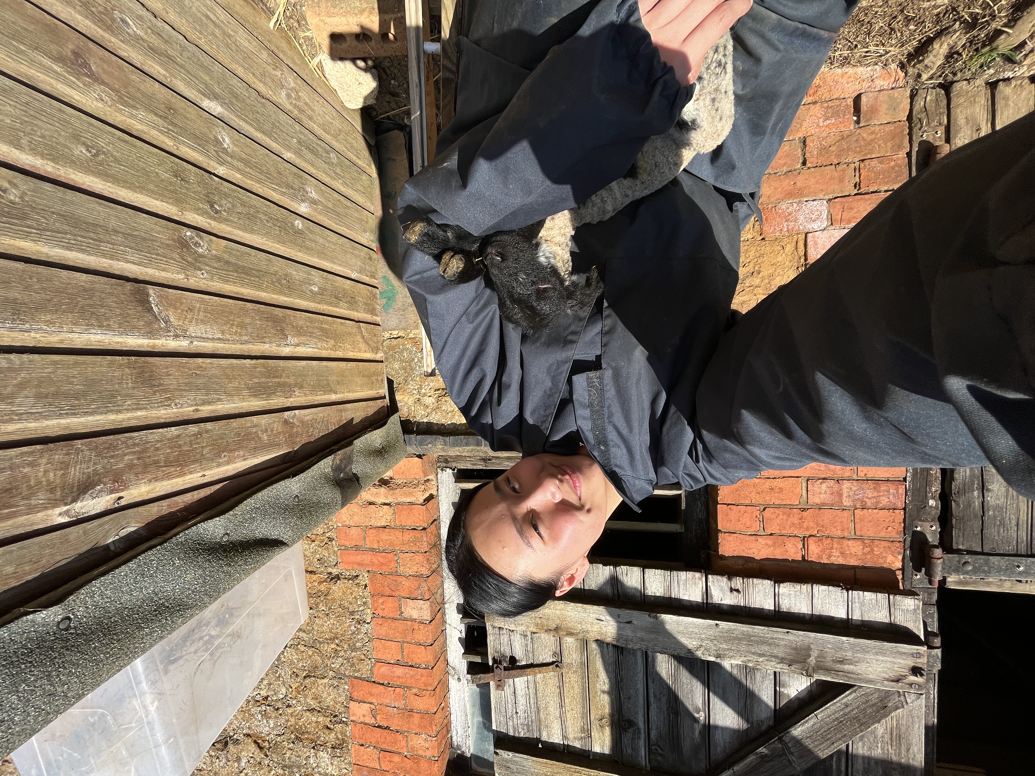 image-8