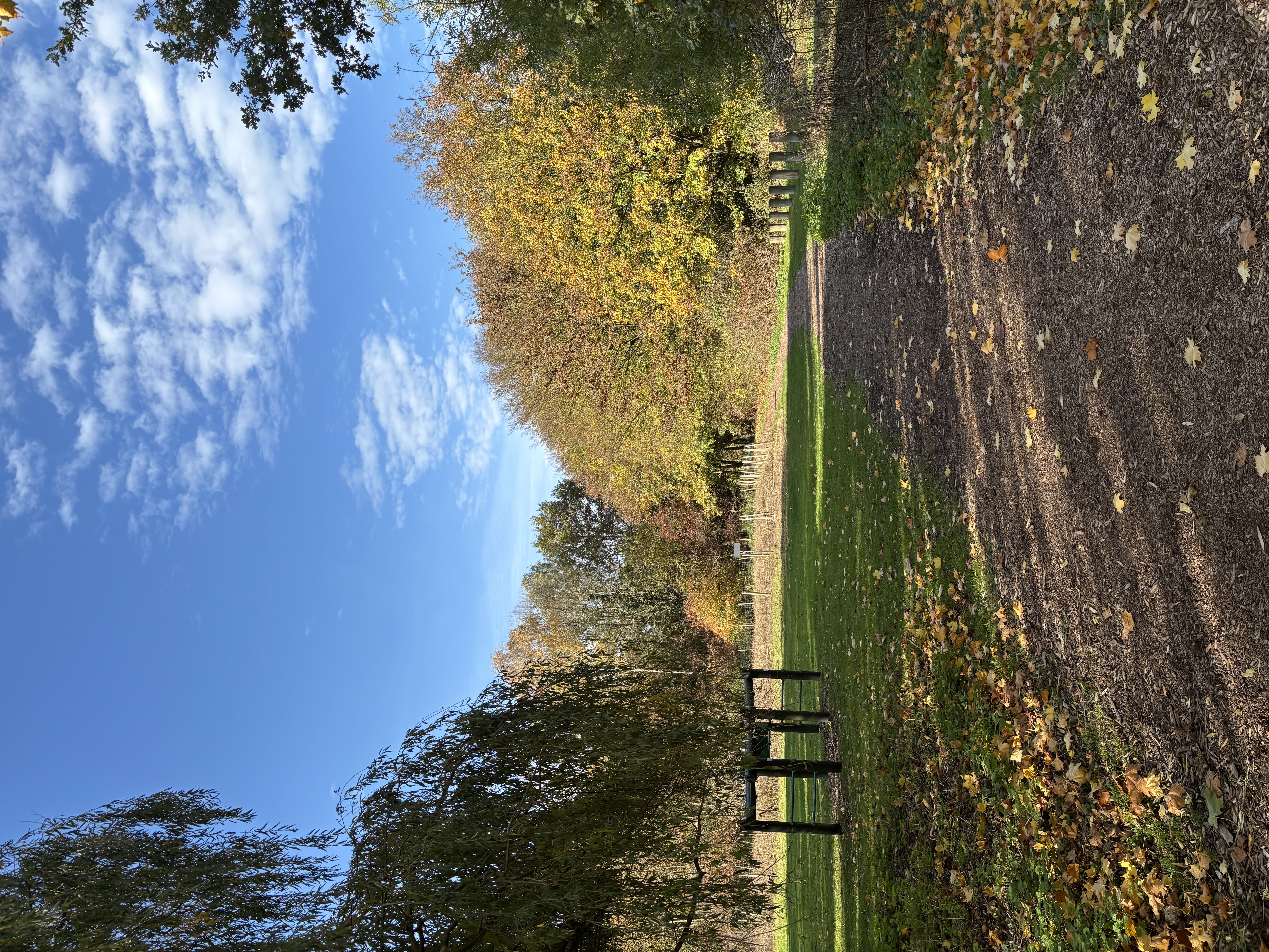 image-20