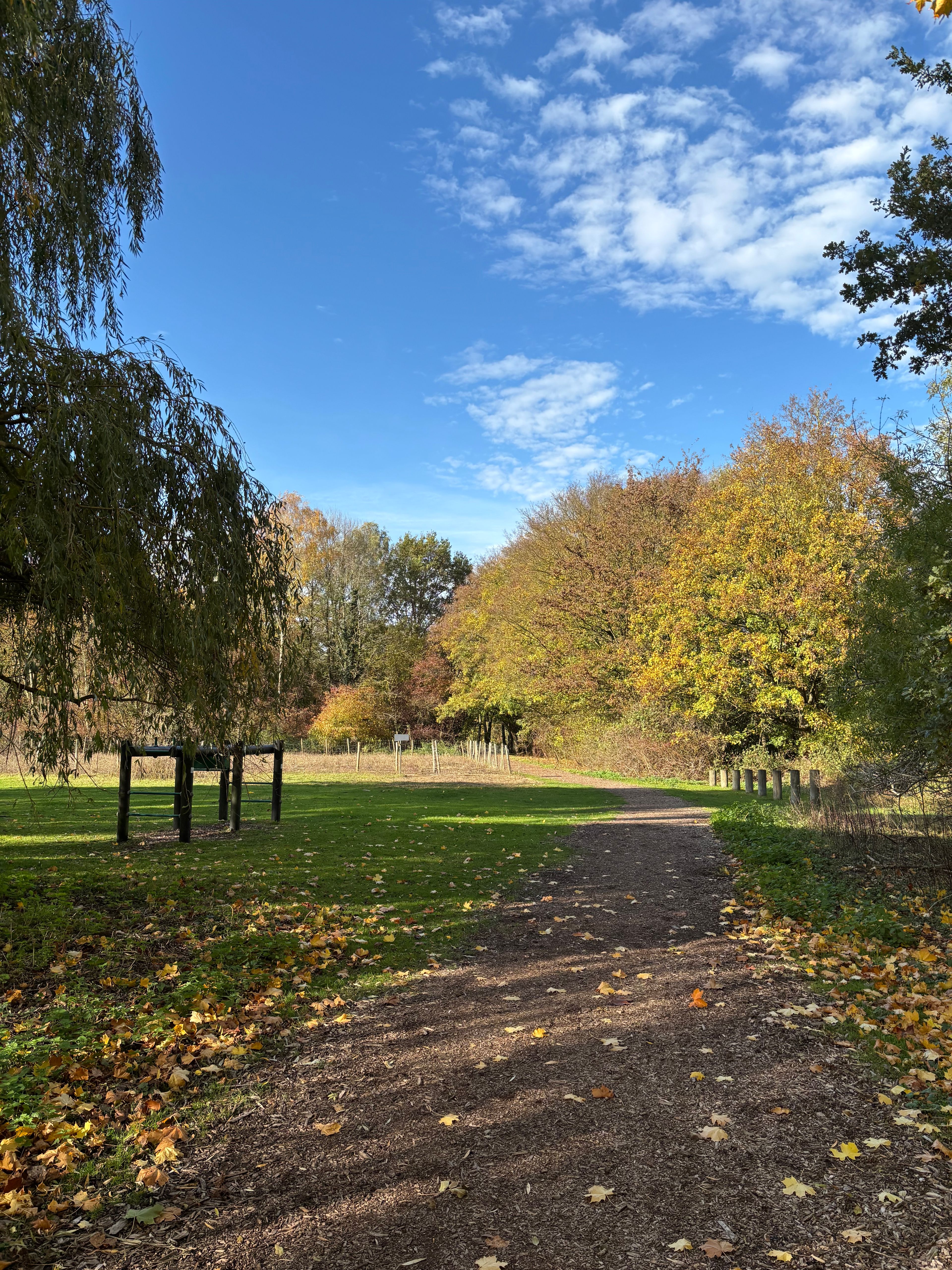 image-20