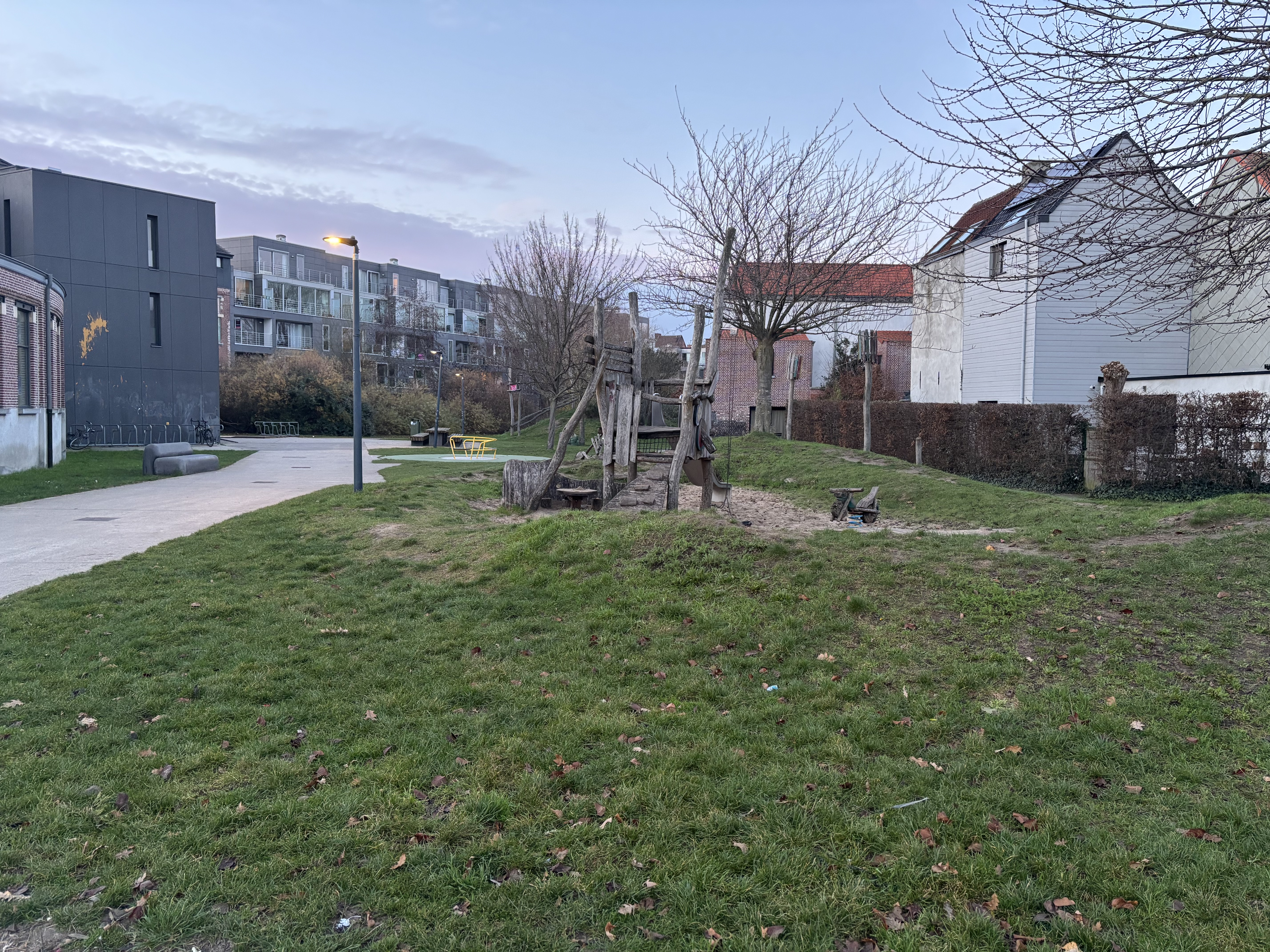 image-19