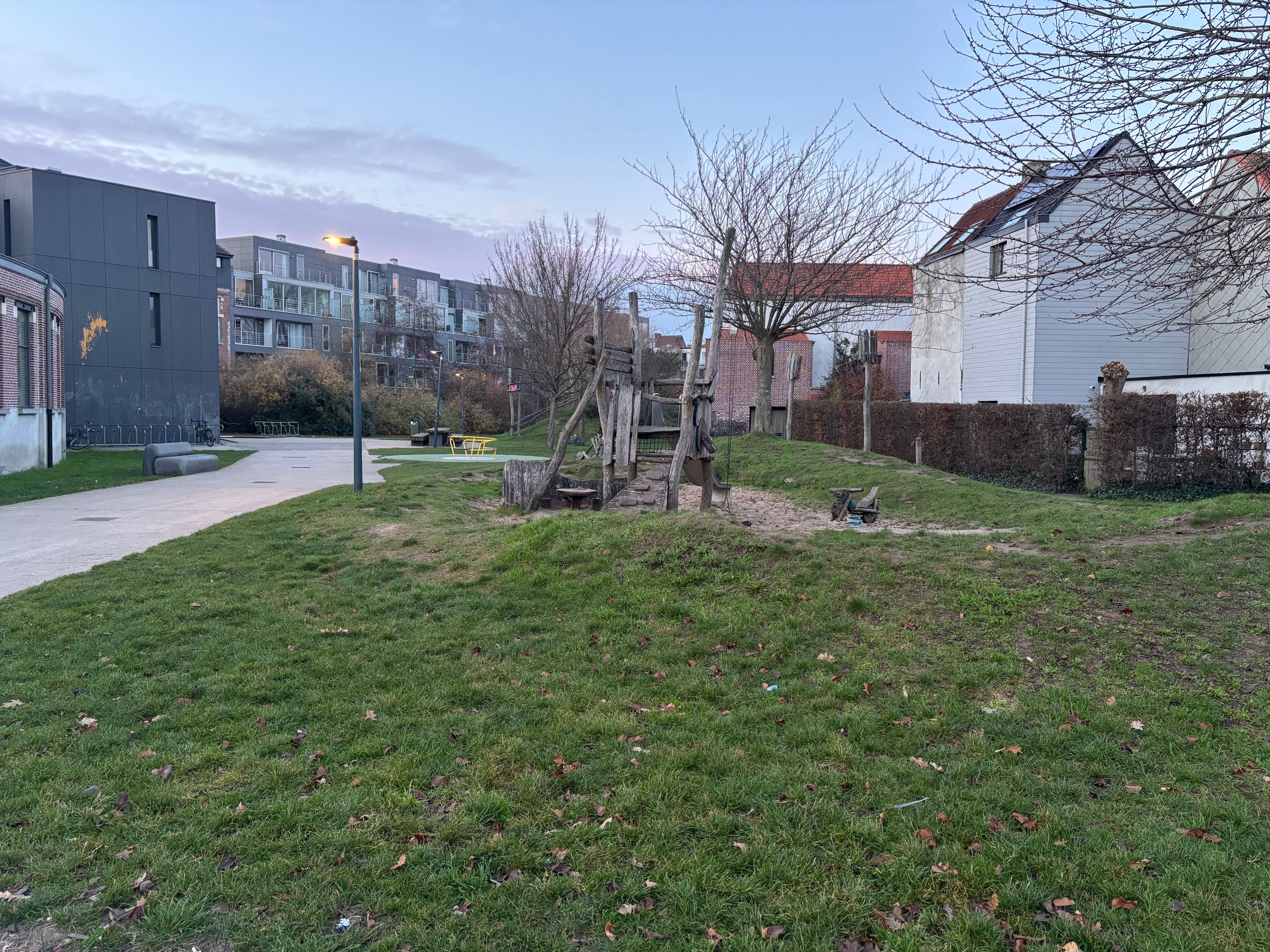 image-19