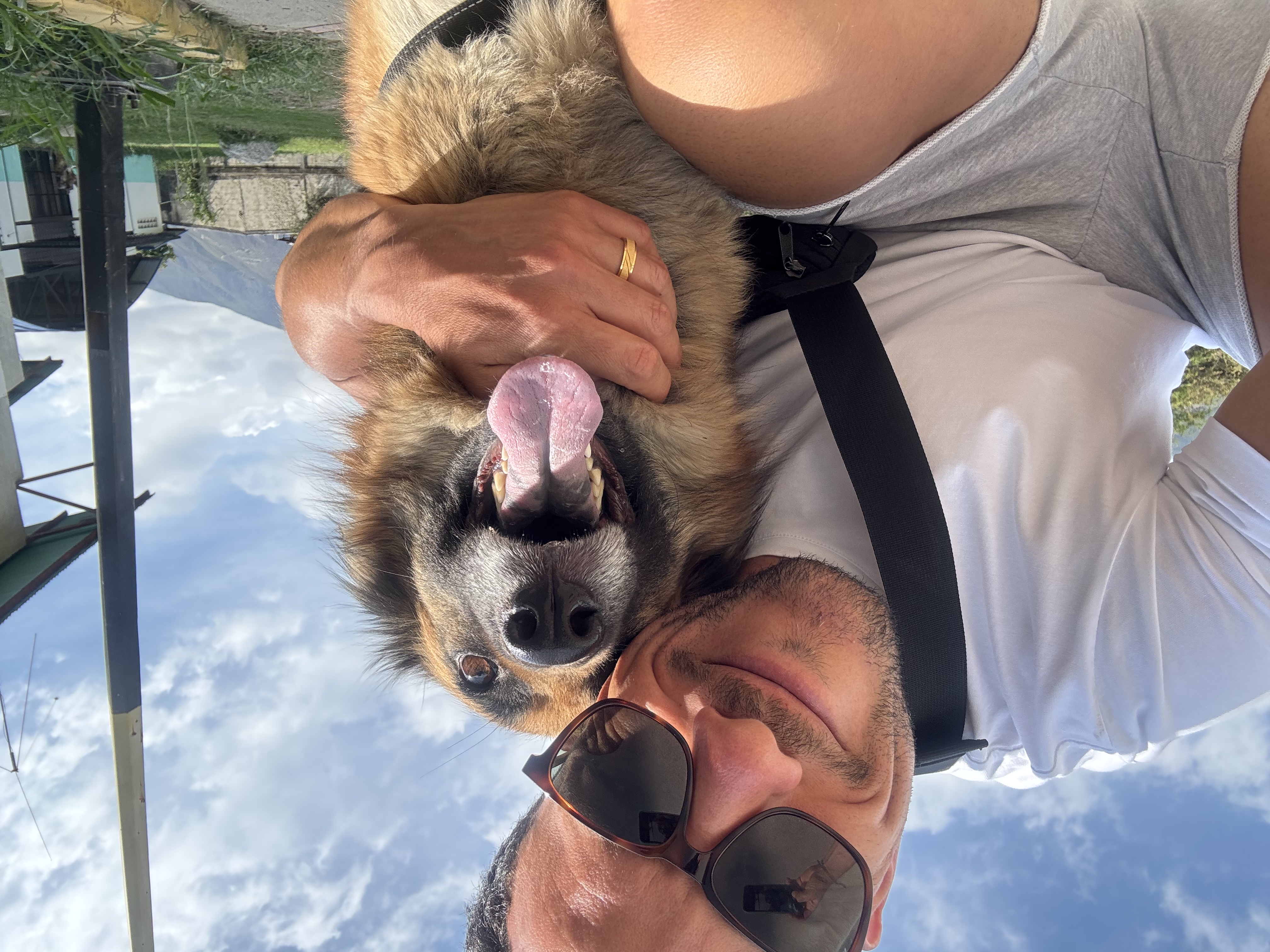 image-0