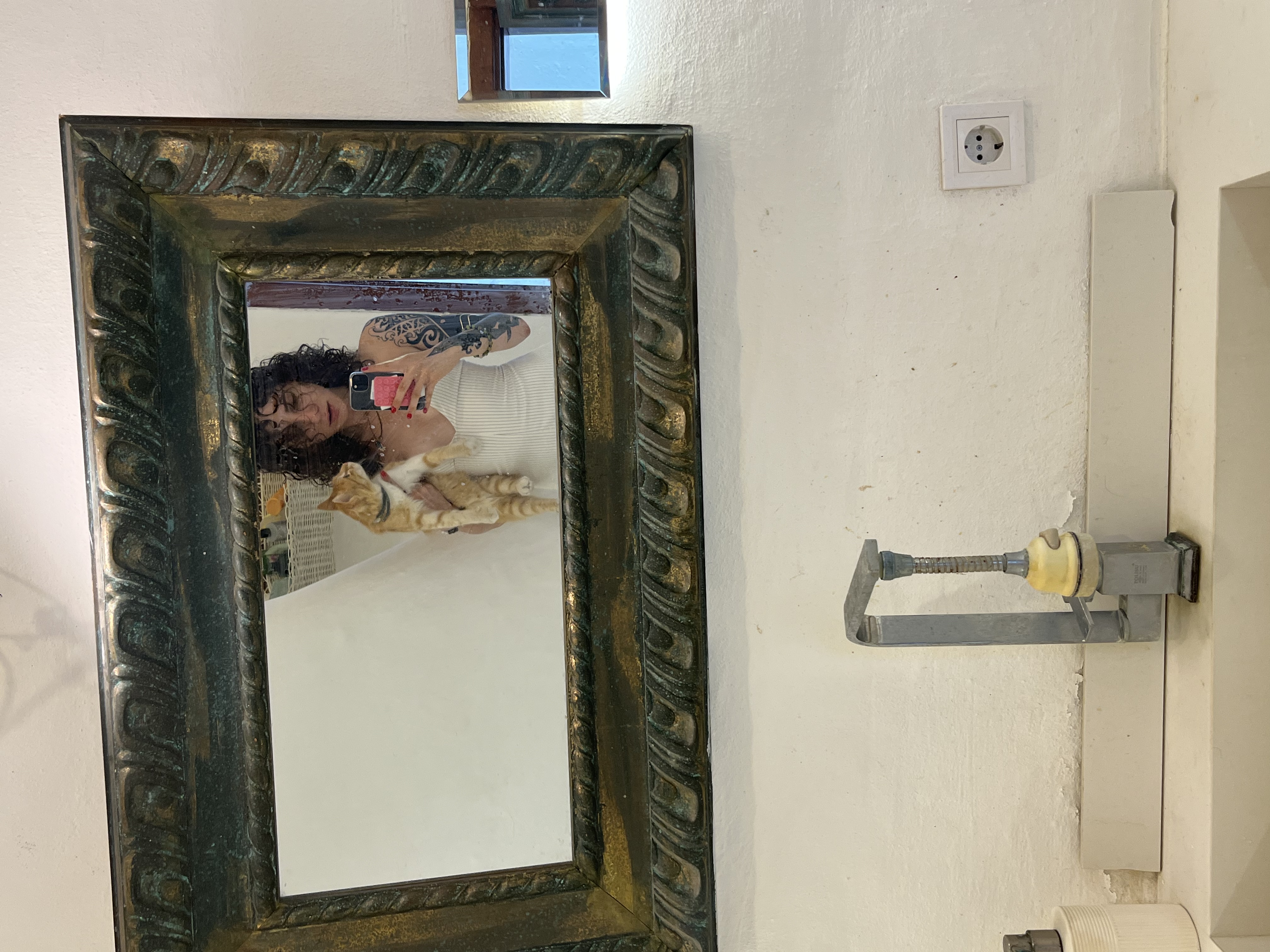 image-7