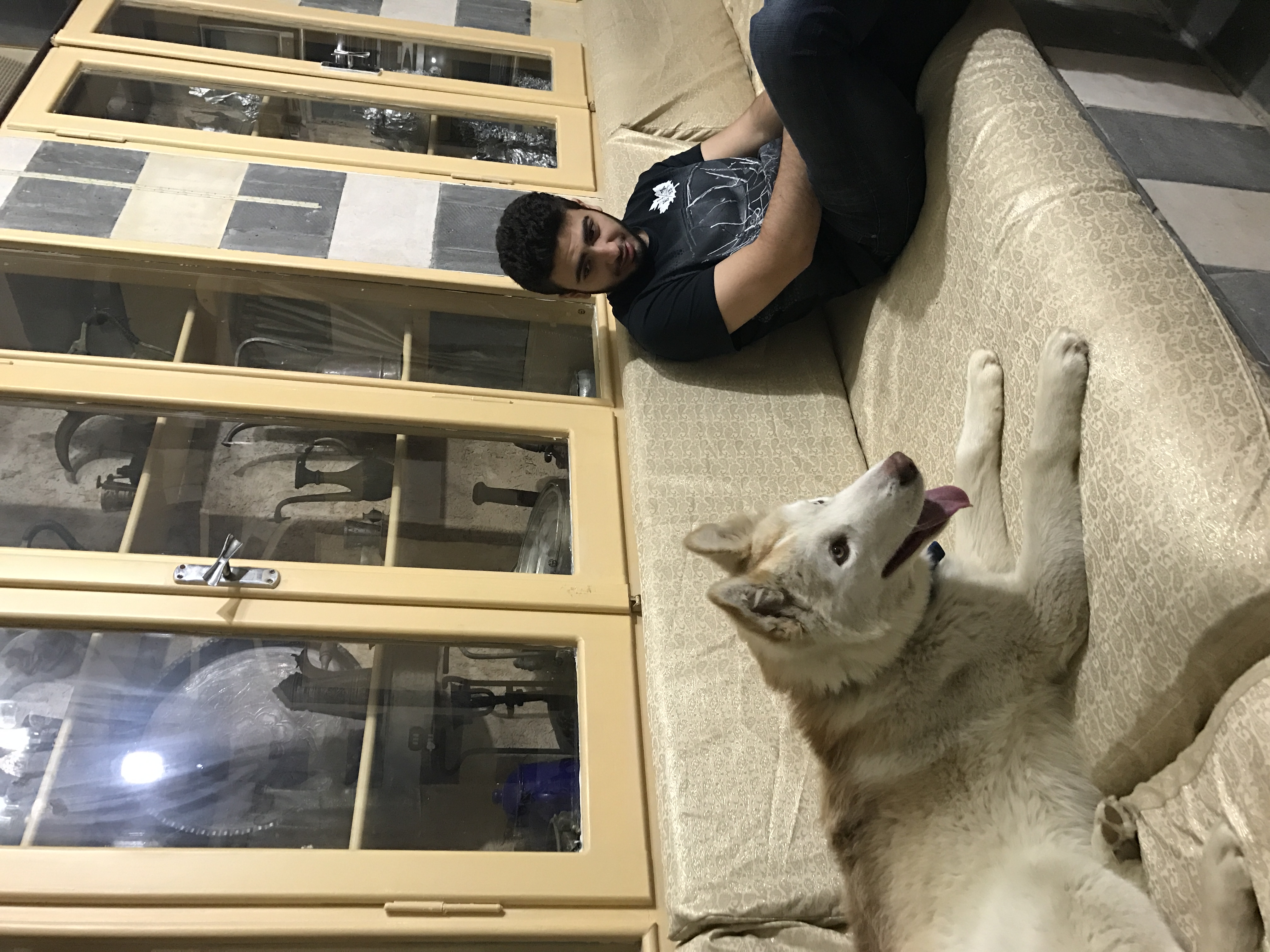 image-7