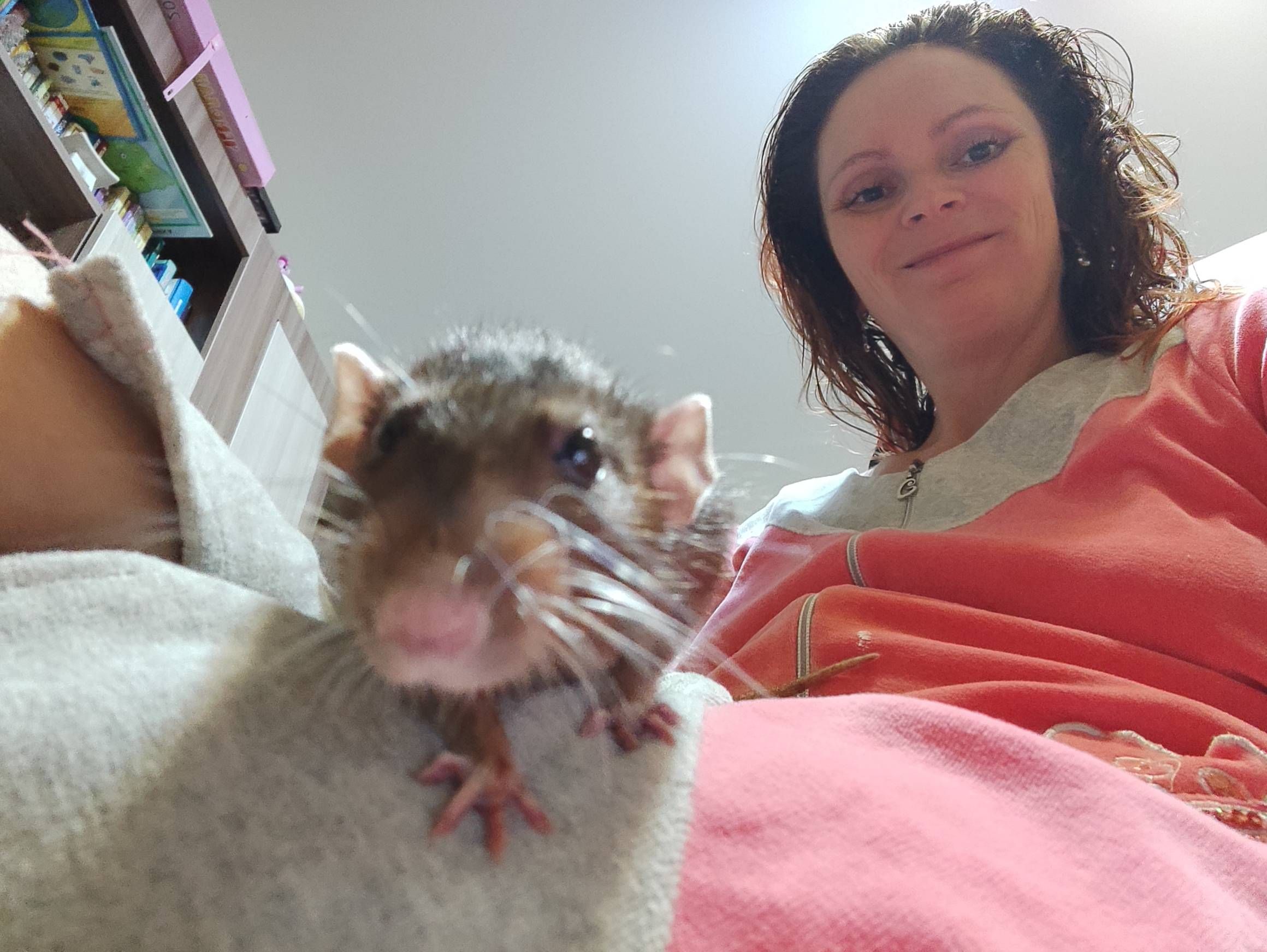 image-2