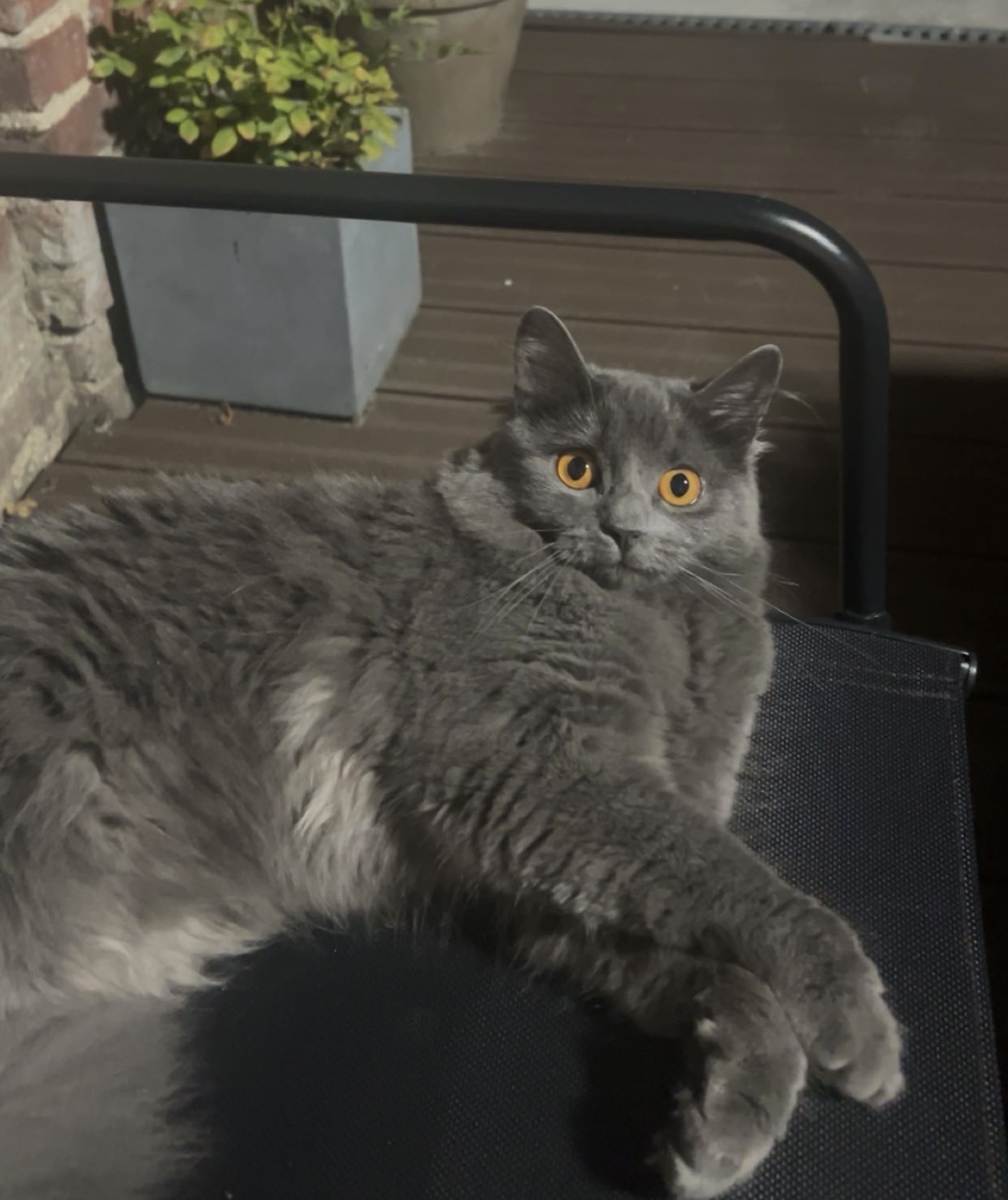 image-15