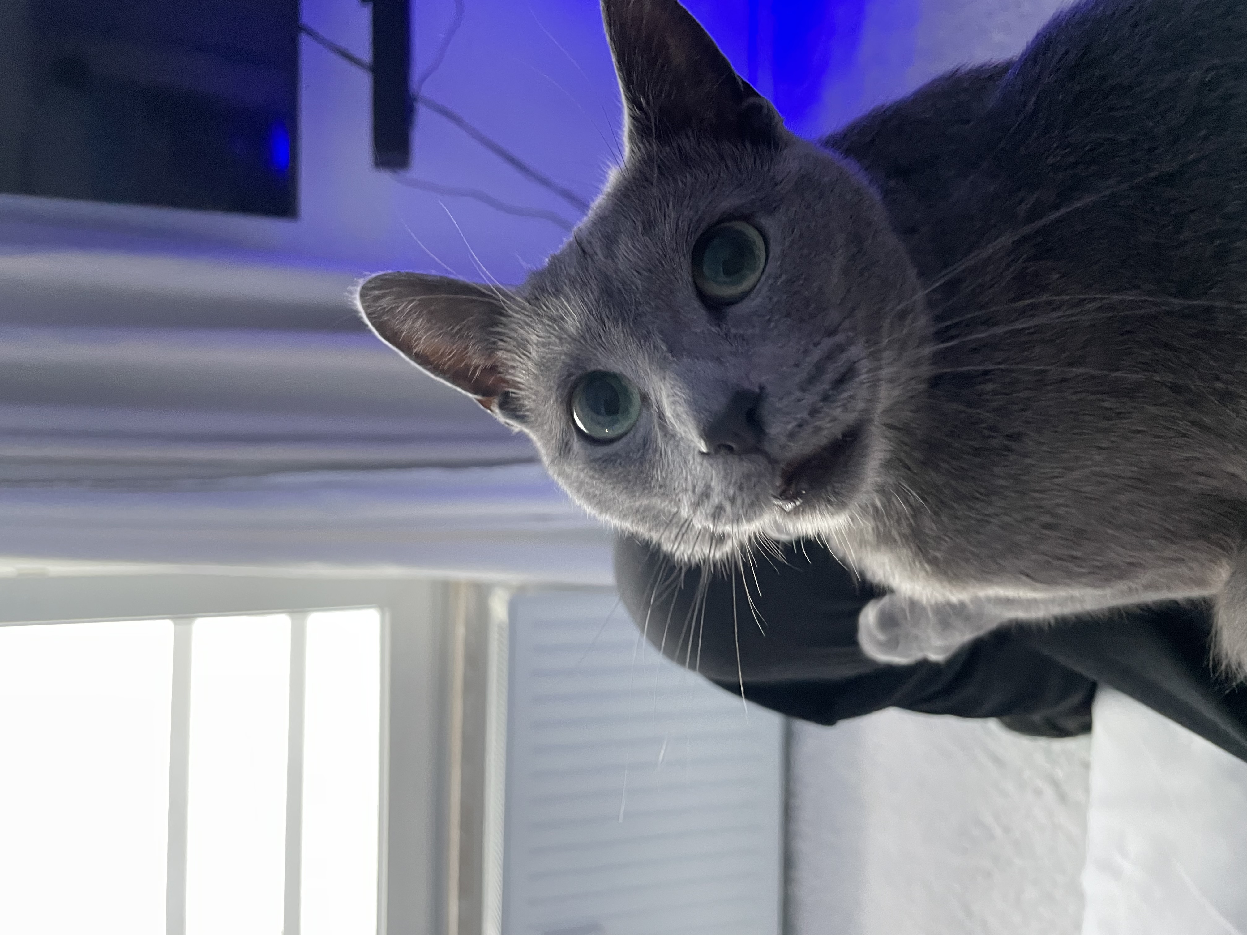 image-6