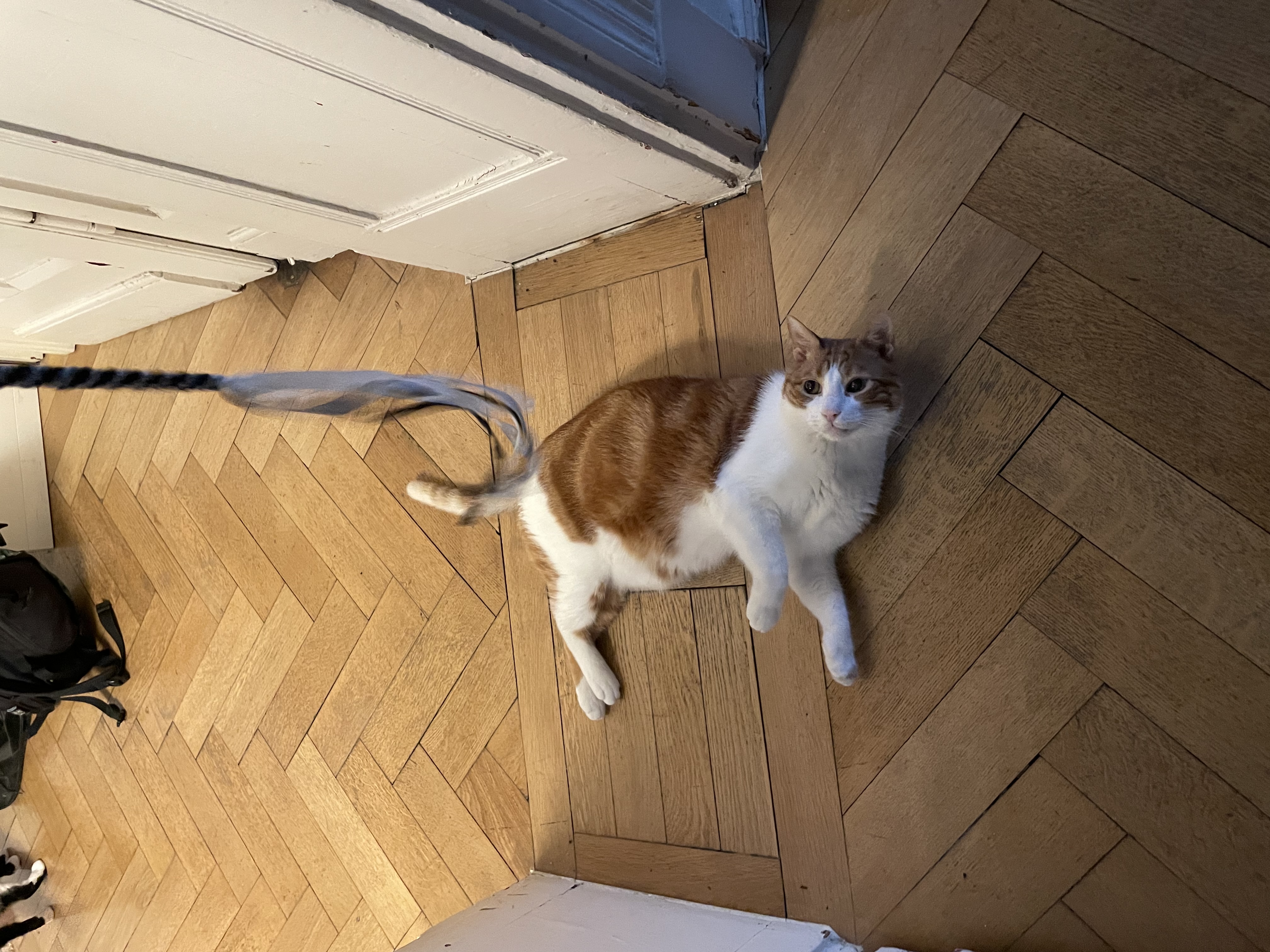 image-5