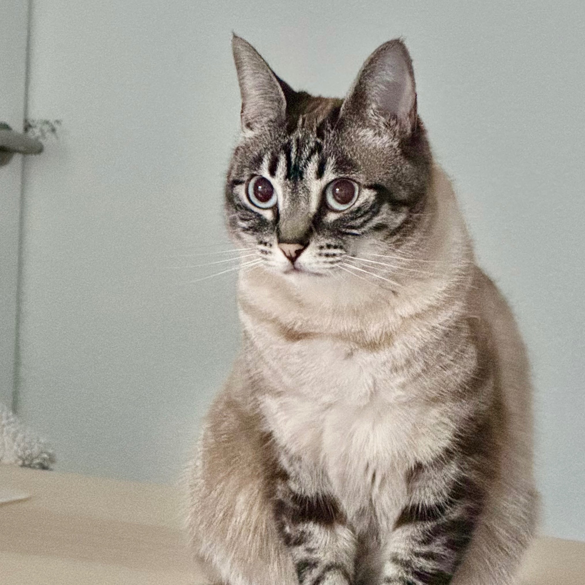 Luna