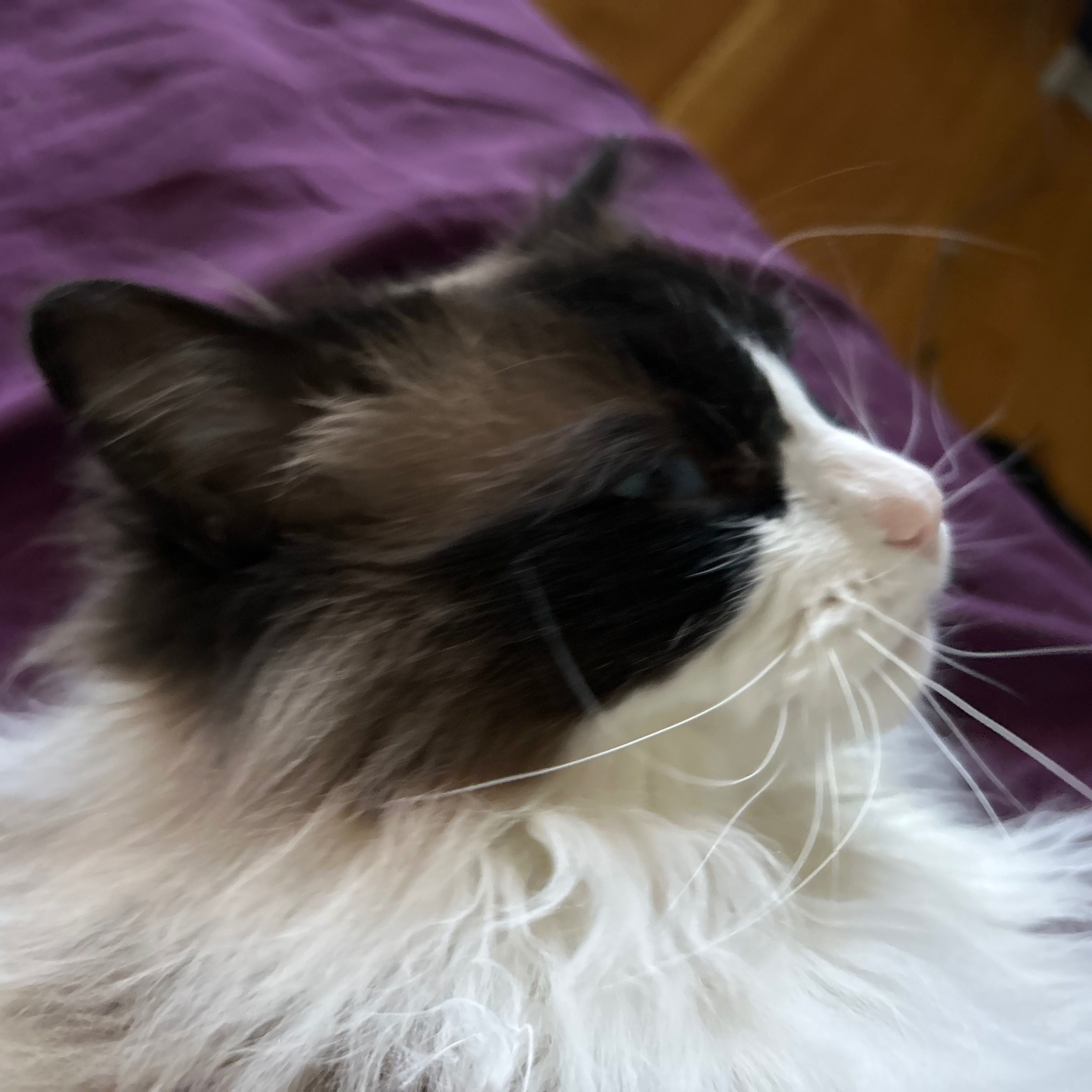Max
