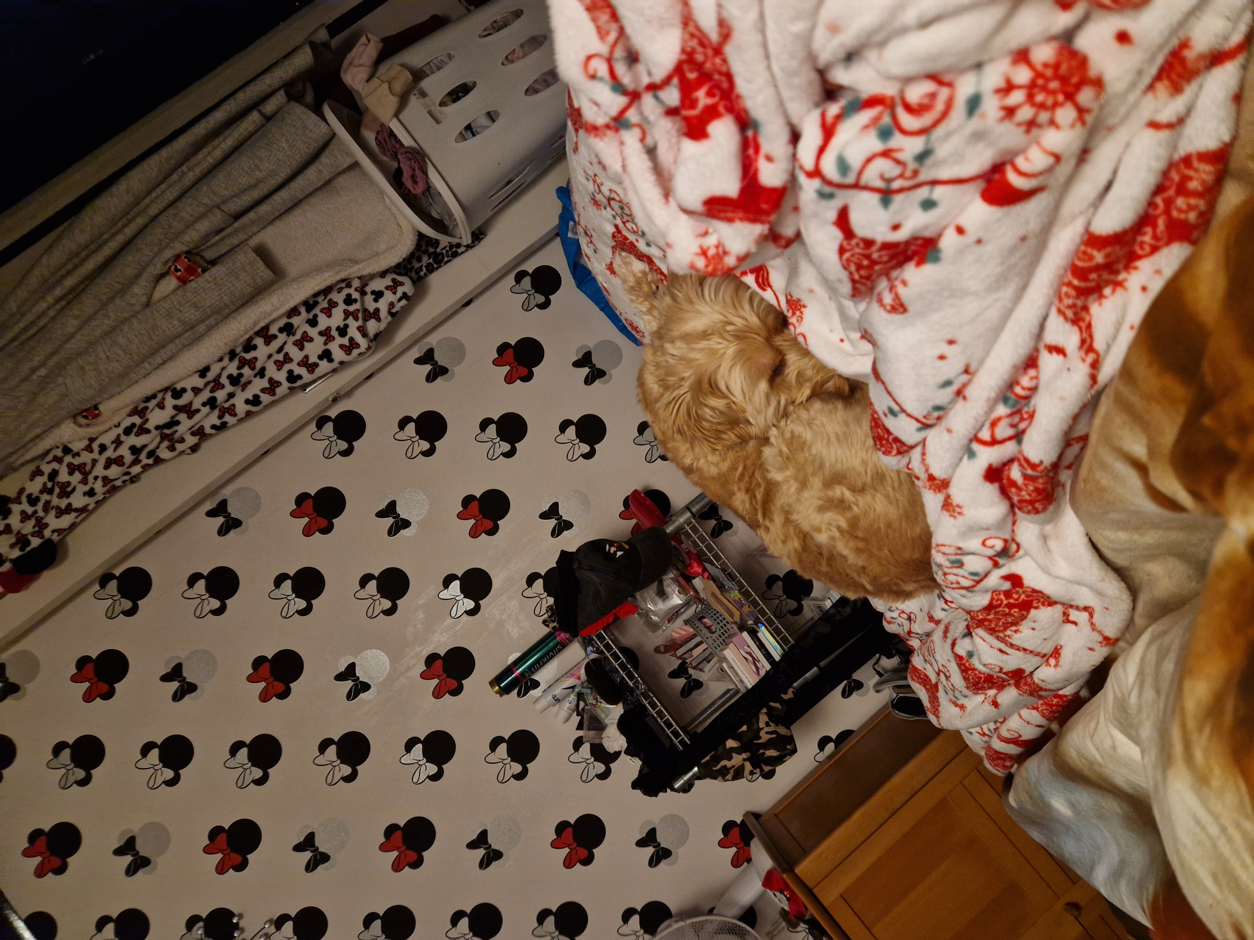 image-9
