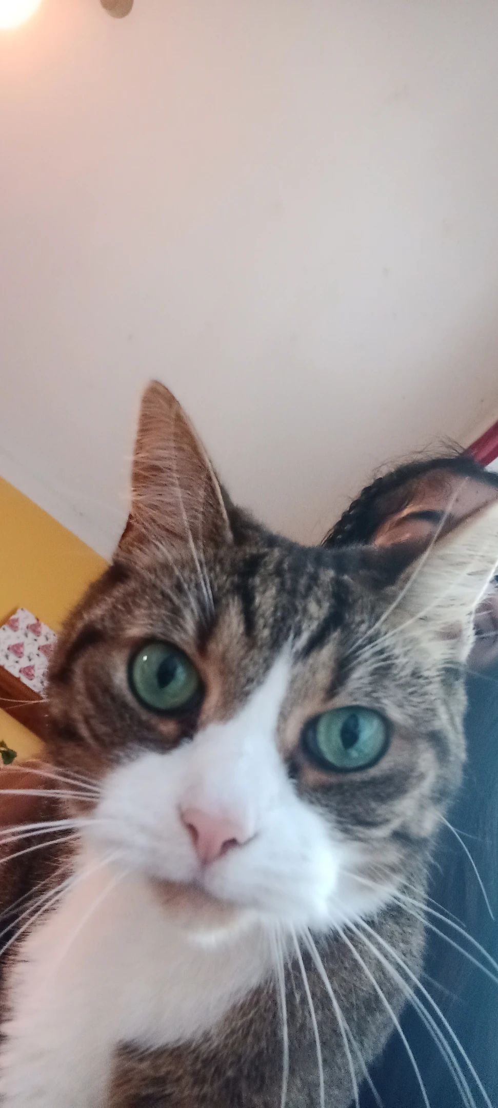 image-8